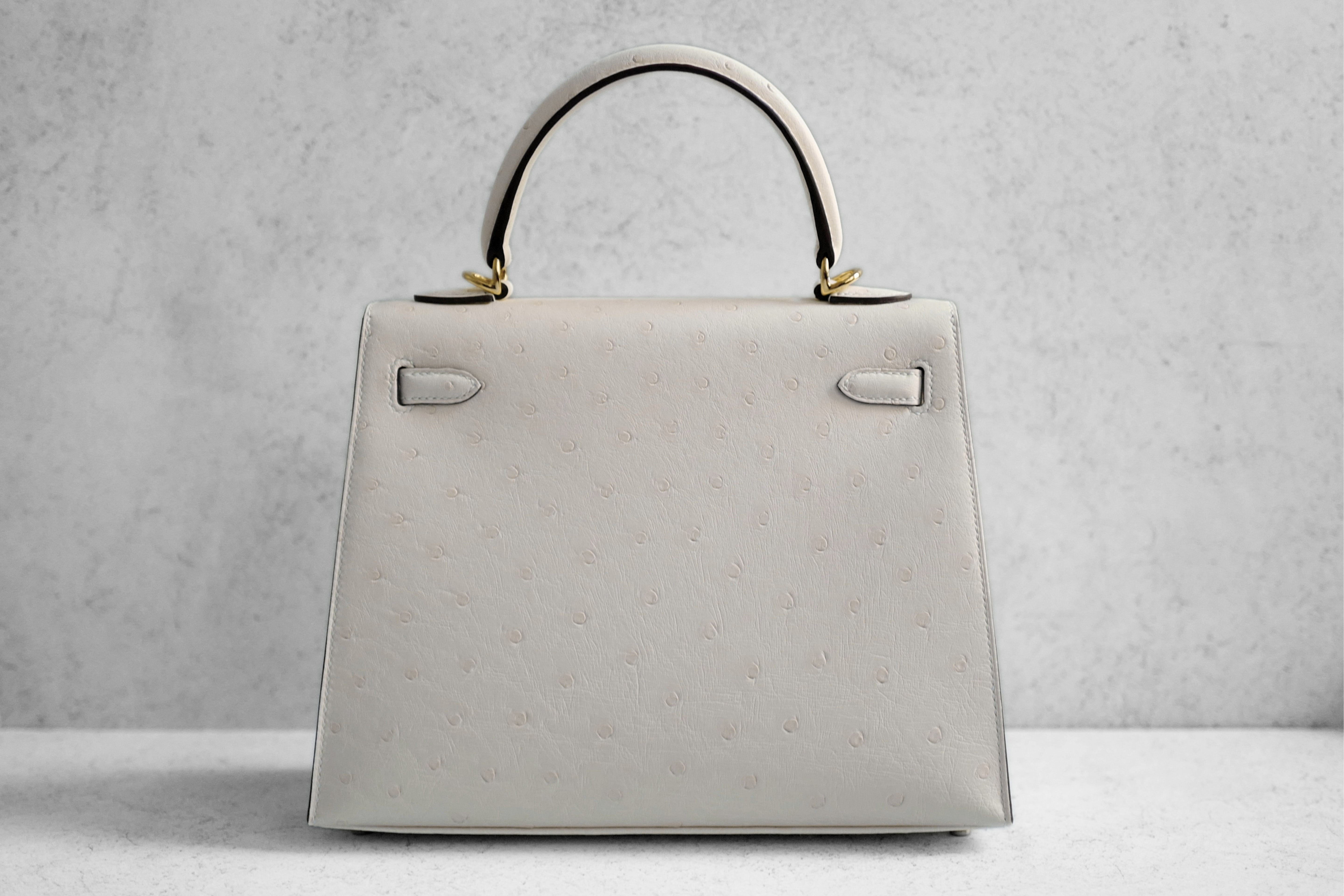 Hermès Kelly II 25 Nata Ostrich Sellier Boréale Gold Hardware G Stamp 2026