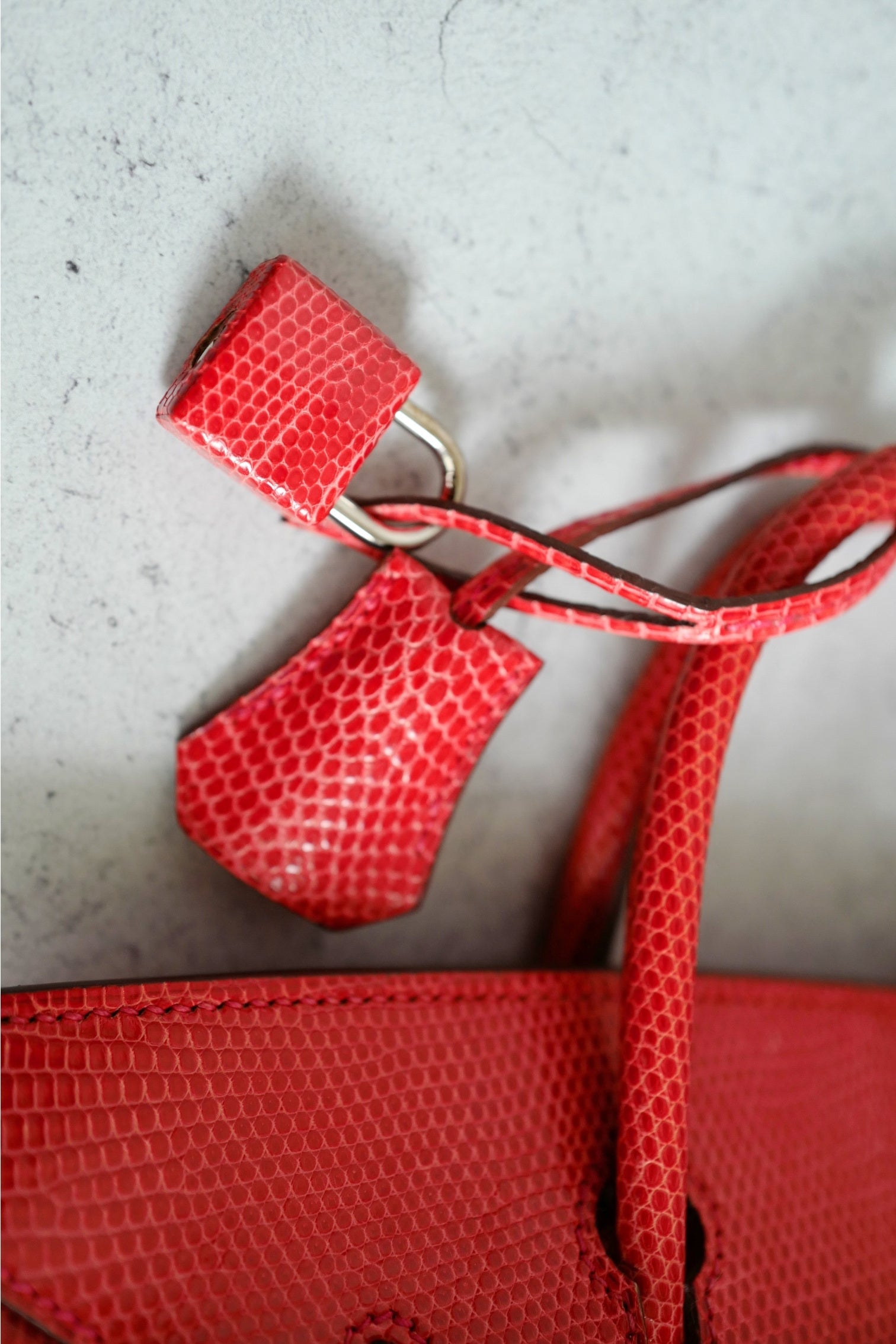 Hermes Birkin 25 Lizard In Bougainvillea Red With Palladium HW