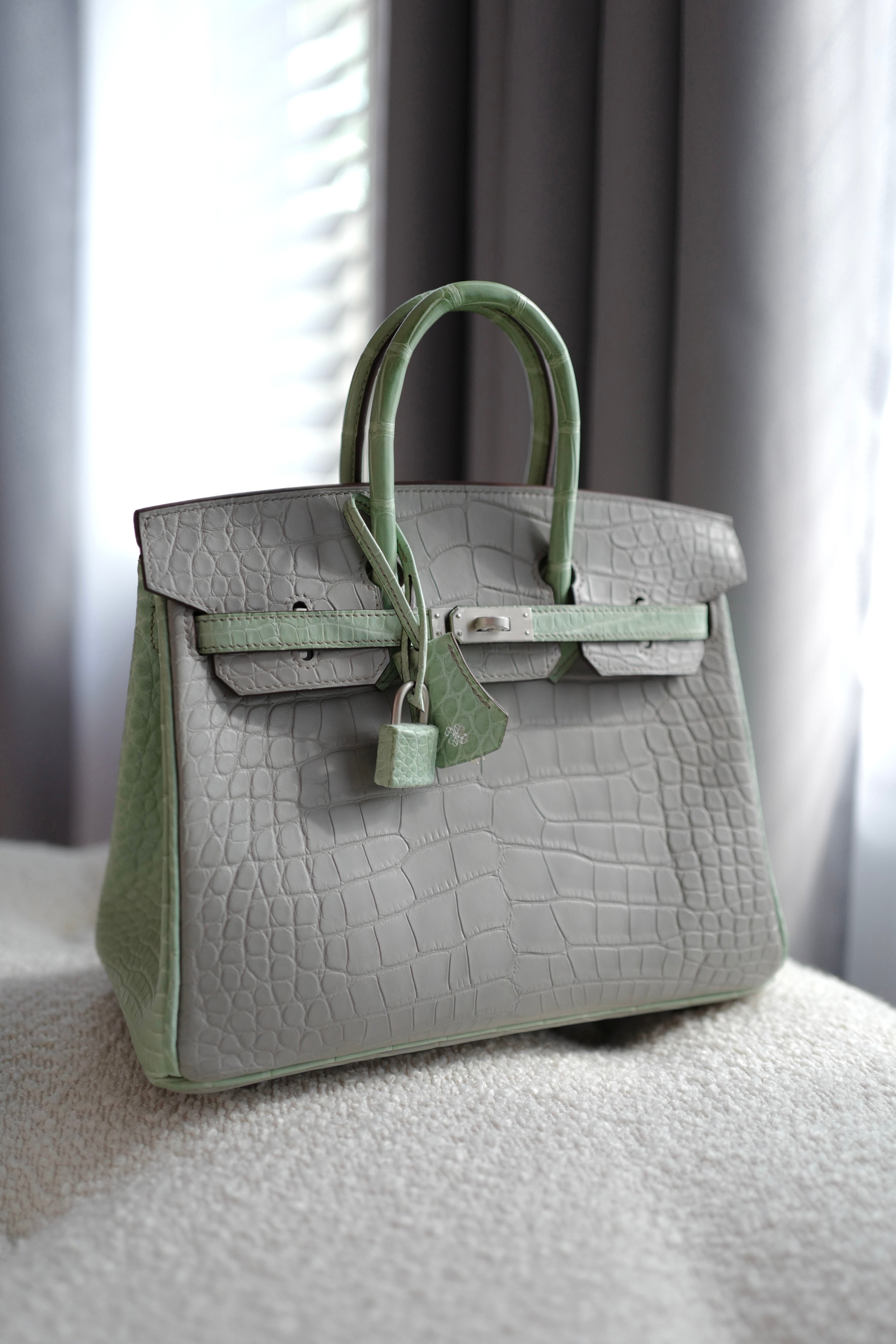 BNIB Hermes Birkin 25 HSS Gris Perle/Vert D’eau Matte Crocodile Brushed Palladium HW