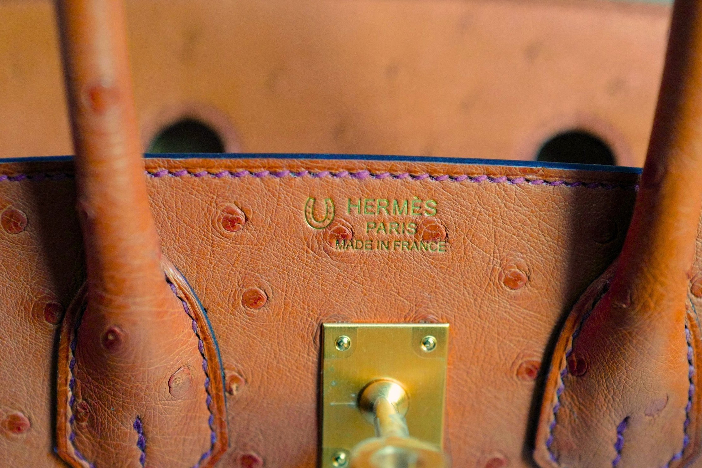 Hermès Birkin 25 Cognac Ostrich Leather Gold Hardware G Stamp 2026