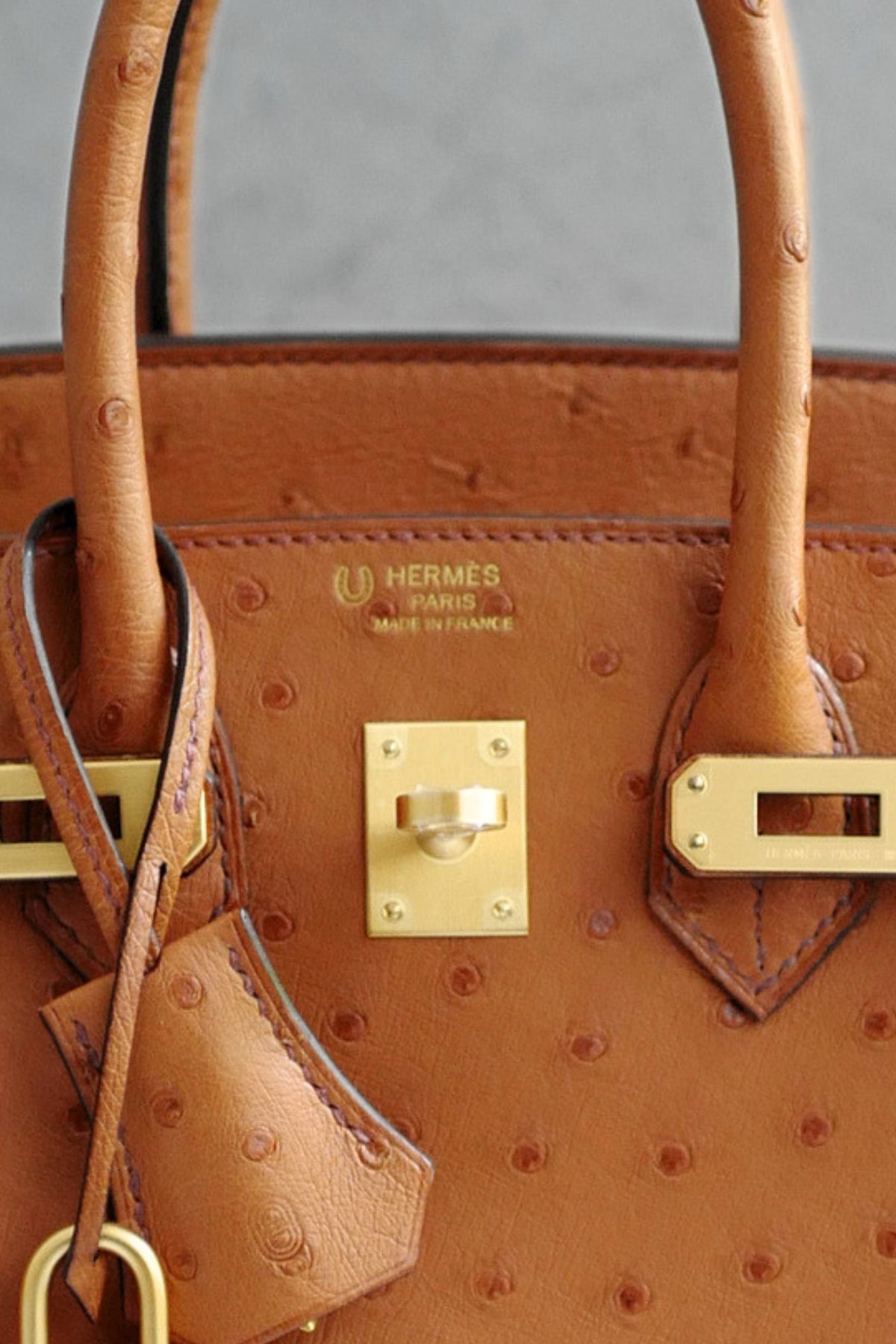 Hermès Birkin 25 Cognac Ostrich Leather Gold Hardware G Stamp 2026
