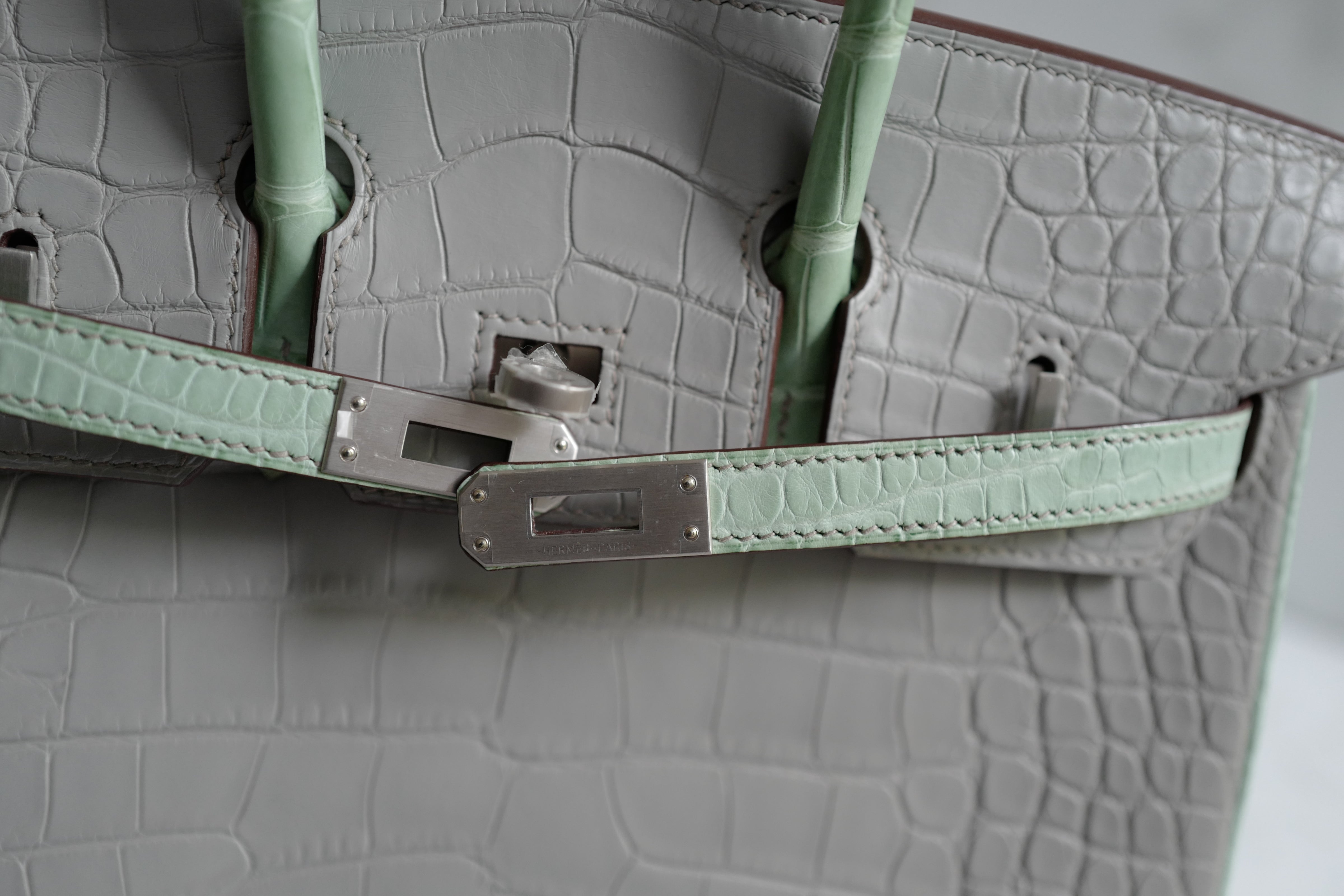 BNIB Hermes Birkin 25 HSS Gris Perle/Vert D’eau Matte Crocodile Brushed Palladium HW