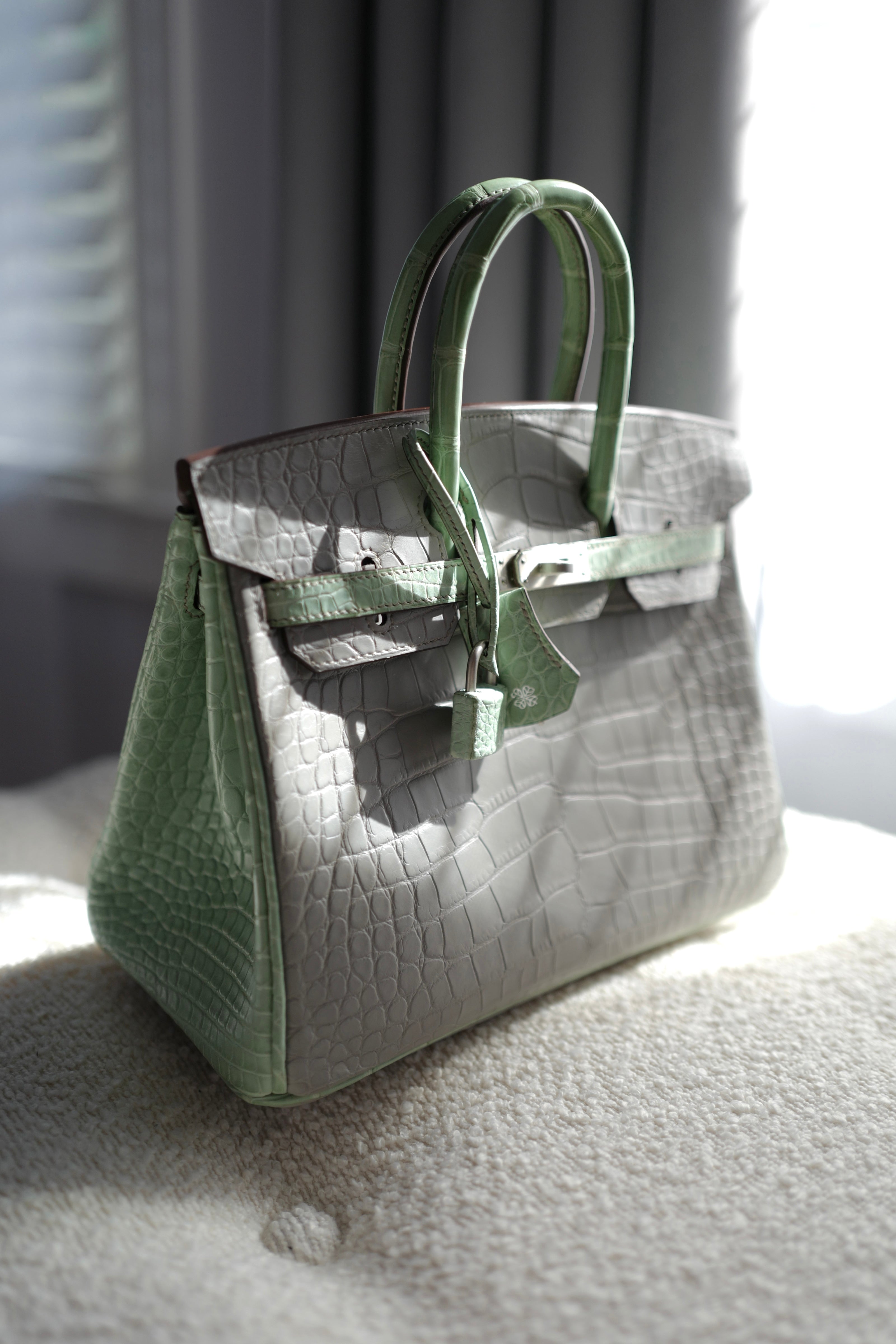 BNIB Hermes Birkin 25 HSS Gris Perle/Vert D’eau Matte Crocodile Brushed Palladium HW