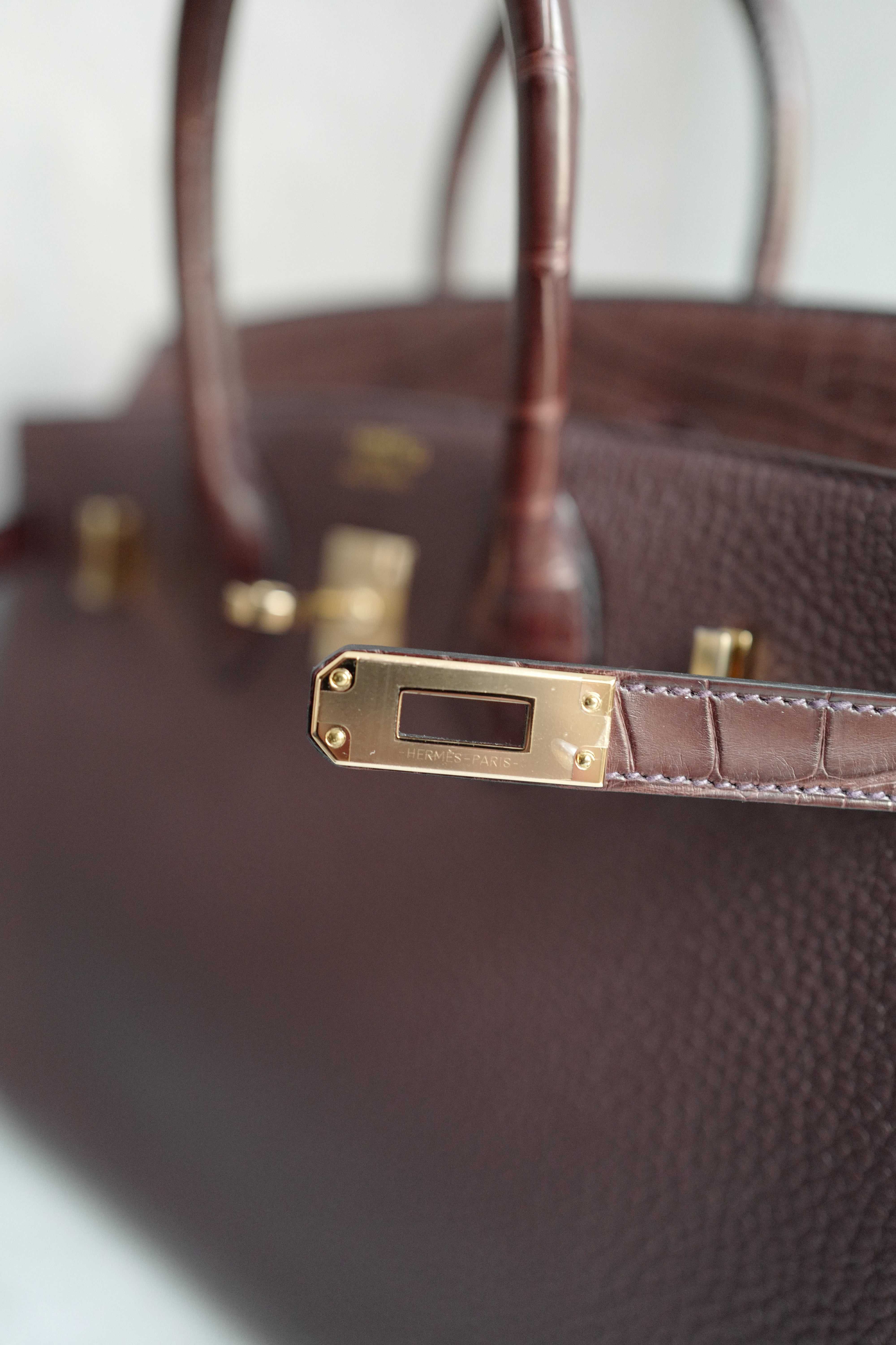 Hermes Birkin 25 Touch Rouge Sellier Togo/Matte Crocodile w/ Champagne Gold HW