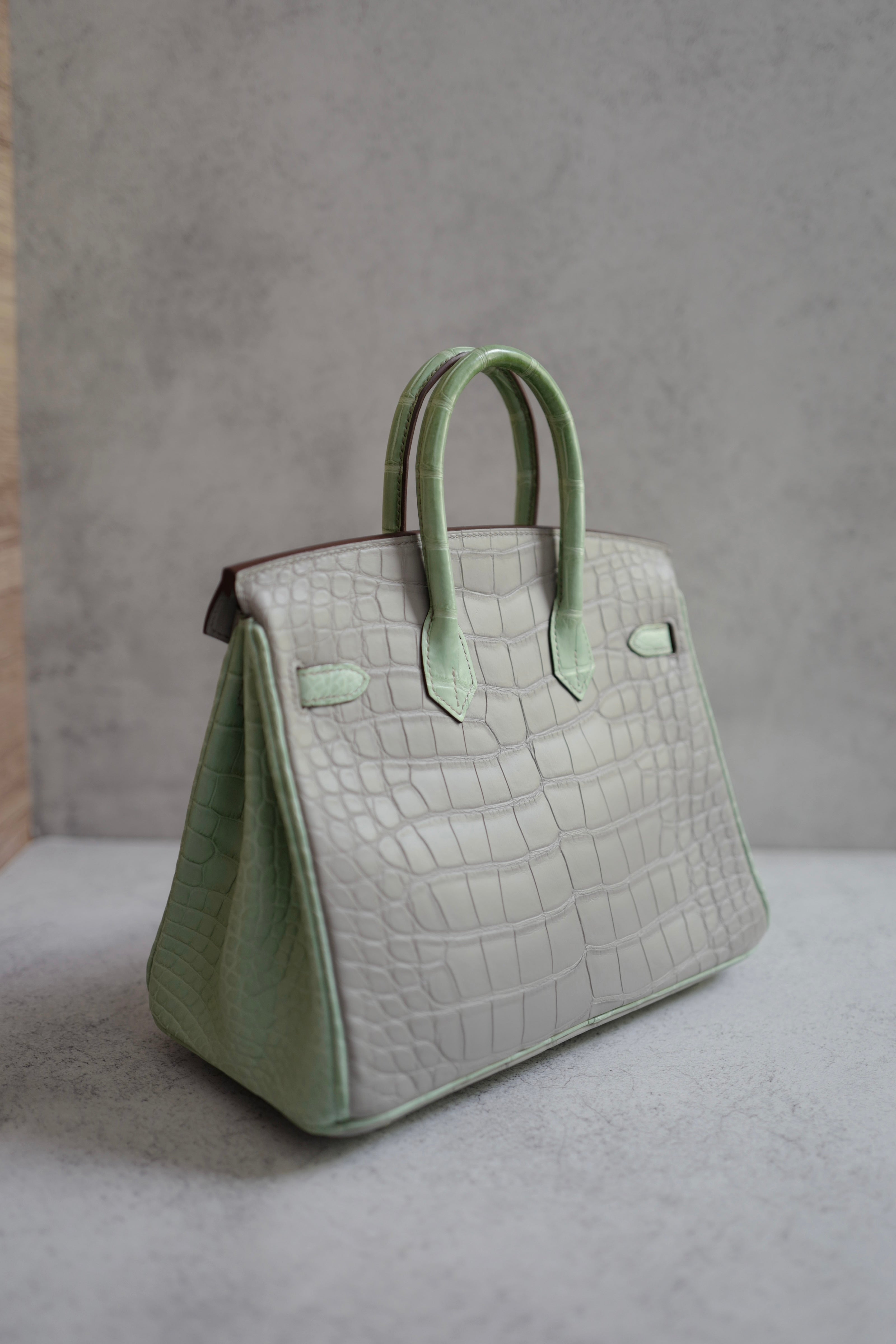 BNIB Hermes Birkin 25 HSS Gris Perle/Vert D’eau Matte Crocodile Brushed Palladium HW