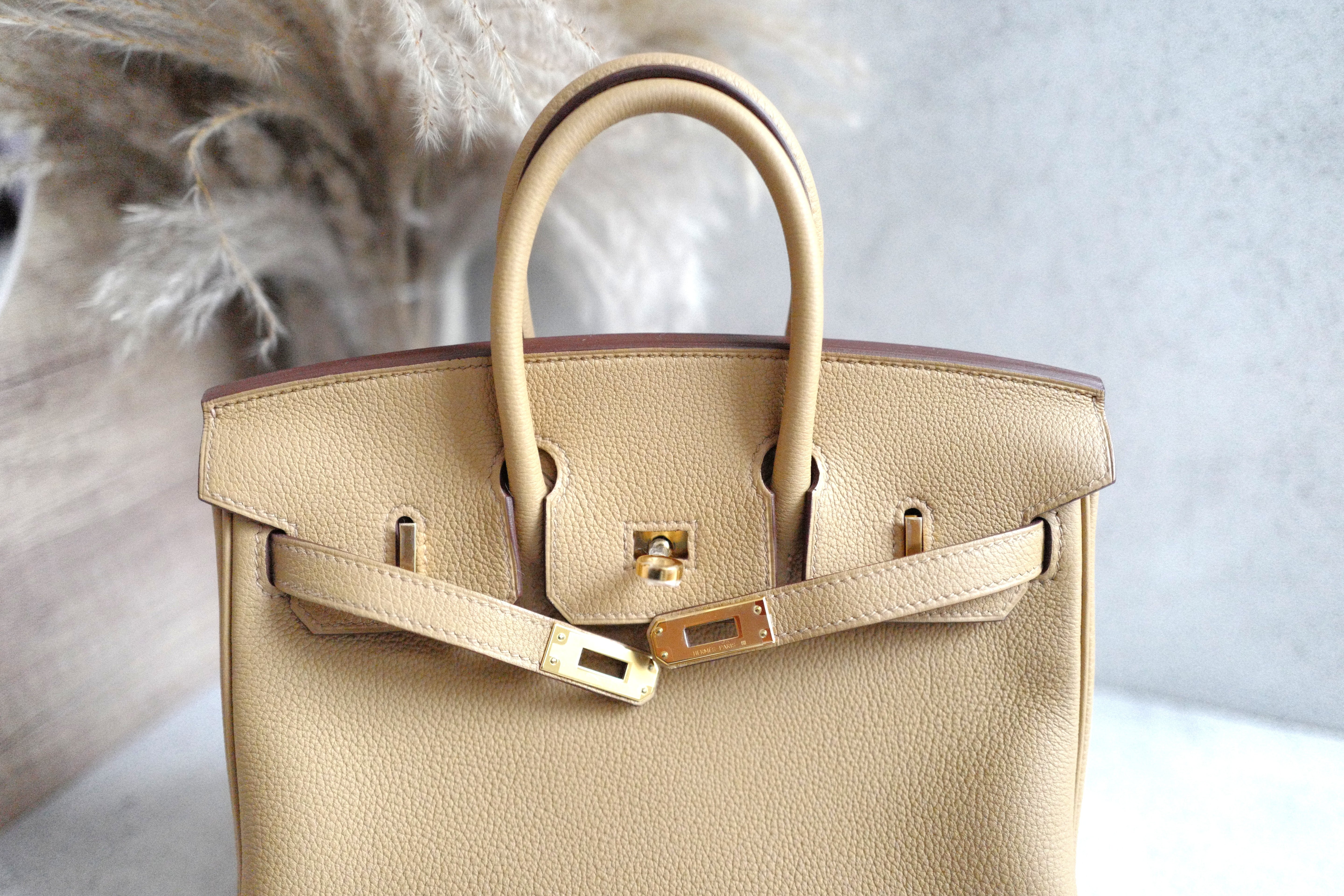NEW Hermes Birkin 25 Togo Biscuit Gold Hardware