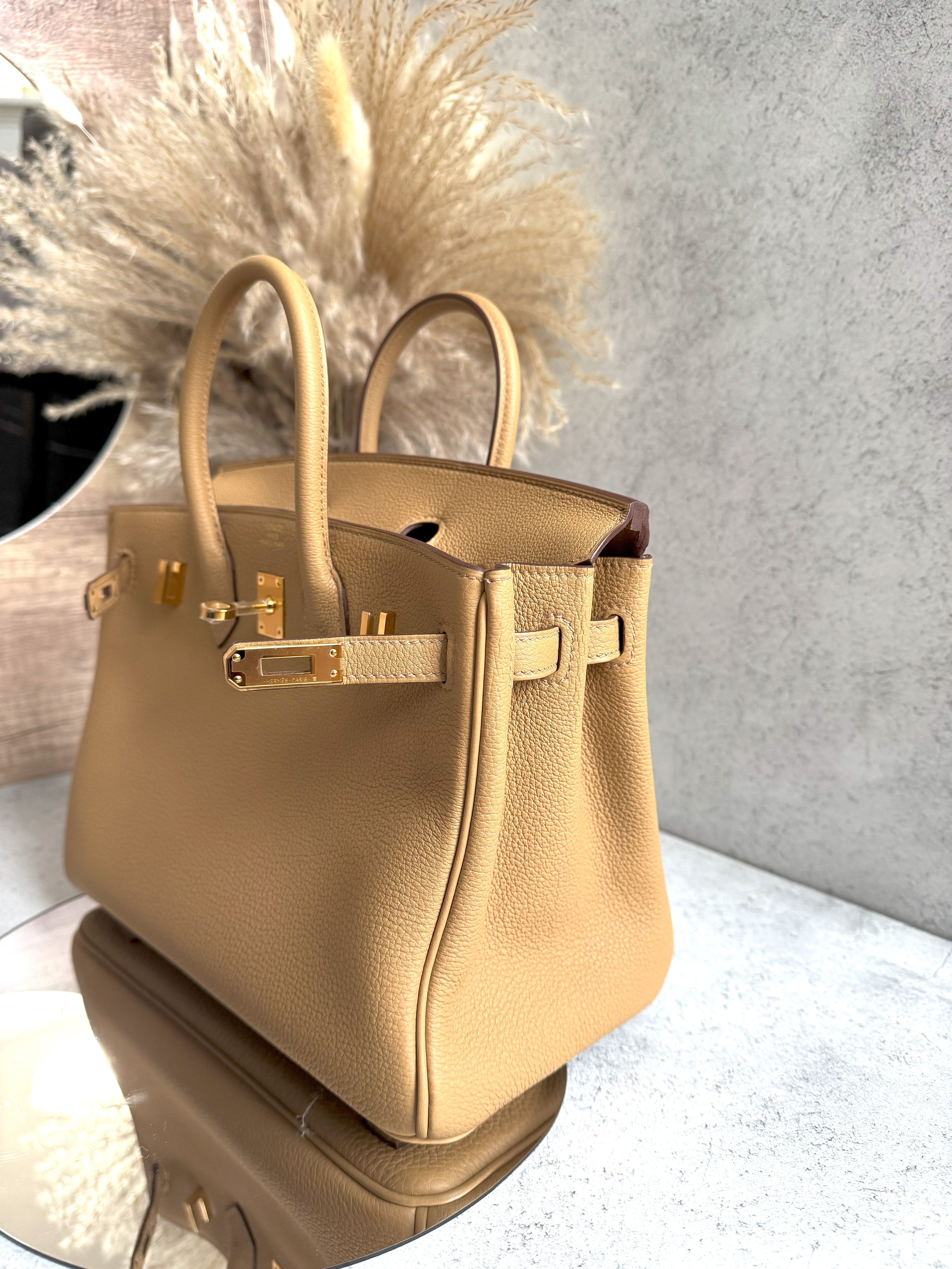 NEW Hermes Birkin 25 Togo Biscuit Gold Hardware