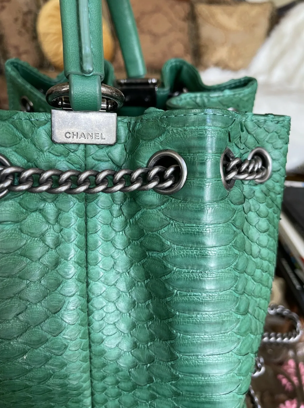 Chanel Gabrielle Backpack Drawstring bag In Phyton Exotic Rare Limited Edition