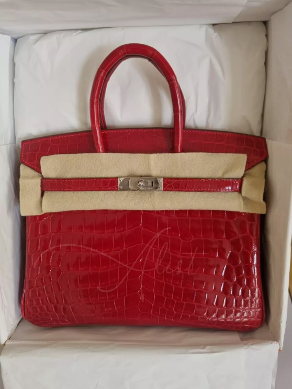 Hermes Birkin 25 Shiny Niloticus In Braise Red With Palladium HW #R