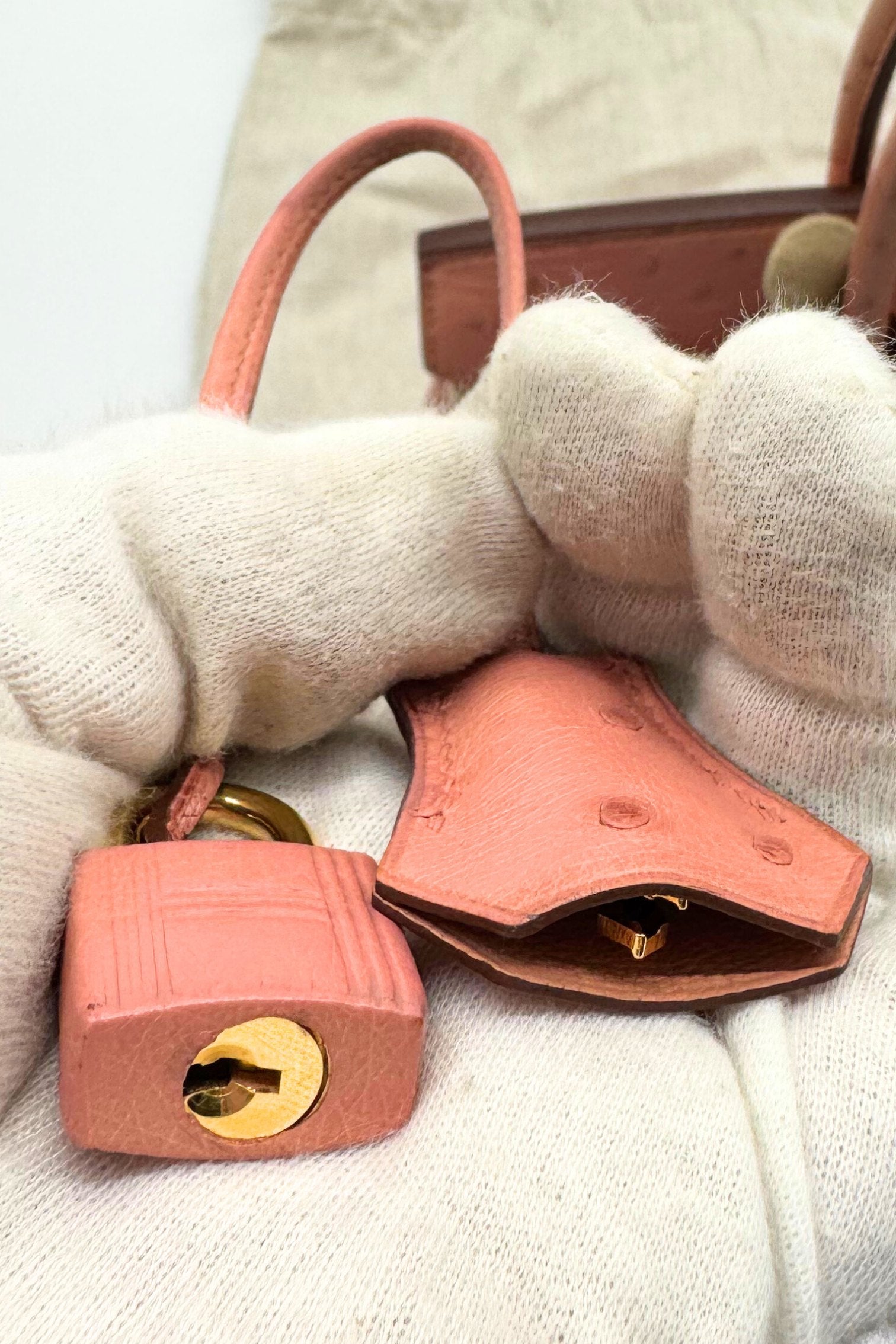 Hermès Birkin 30 Bag in Terre Cuite Ostrich with Gold Tone Hardware