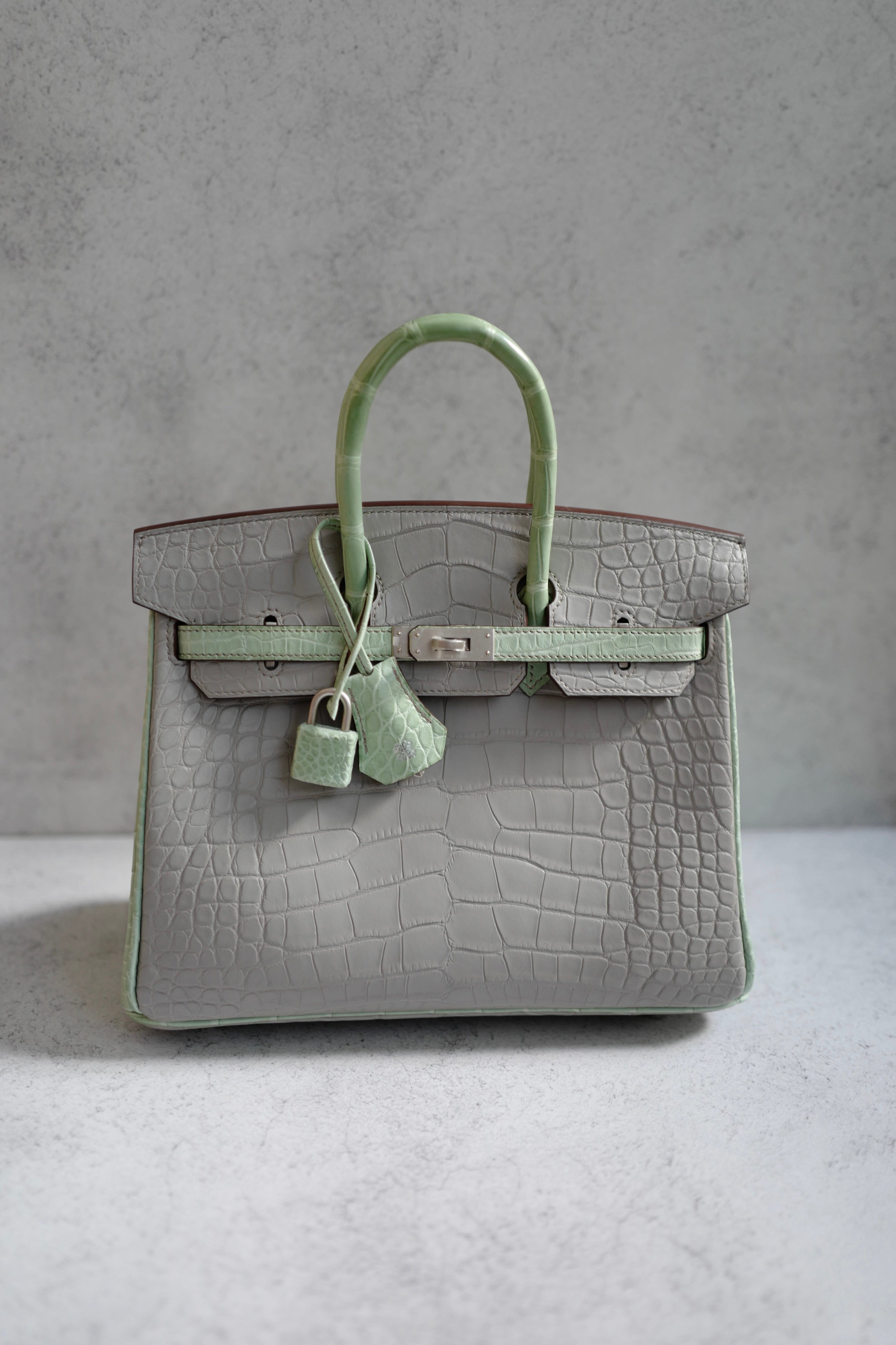 BNIB Hermes Birkin 25 HSS Gris Perle/Vert D’eau Matte Crocodile Brushed Palladium HW