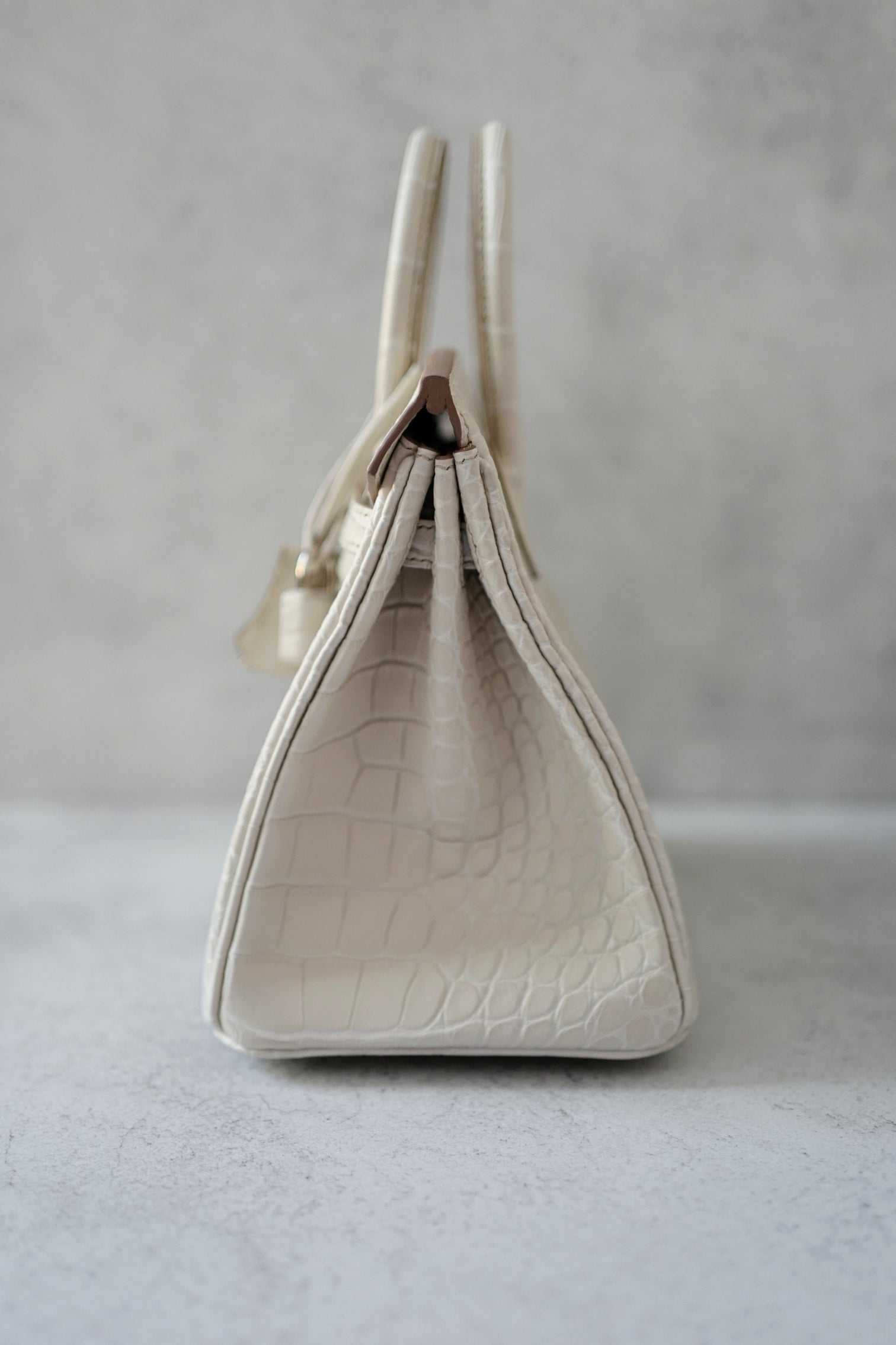 BNIB Hermès Birkin 25 Beton Matte Mississippiensis Alligator Palladium Hardware 2025