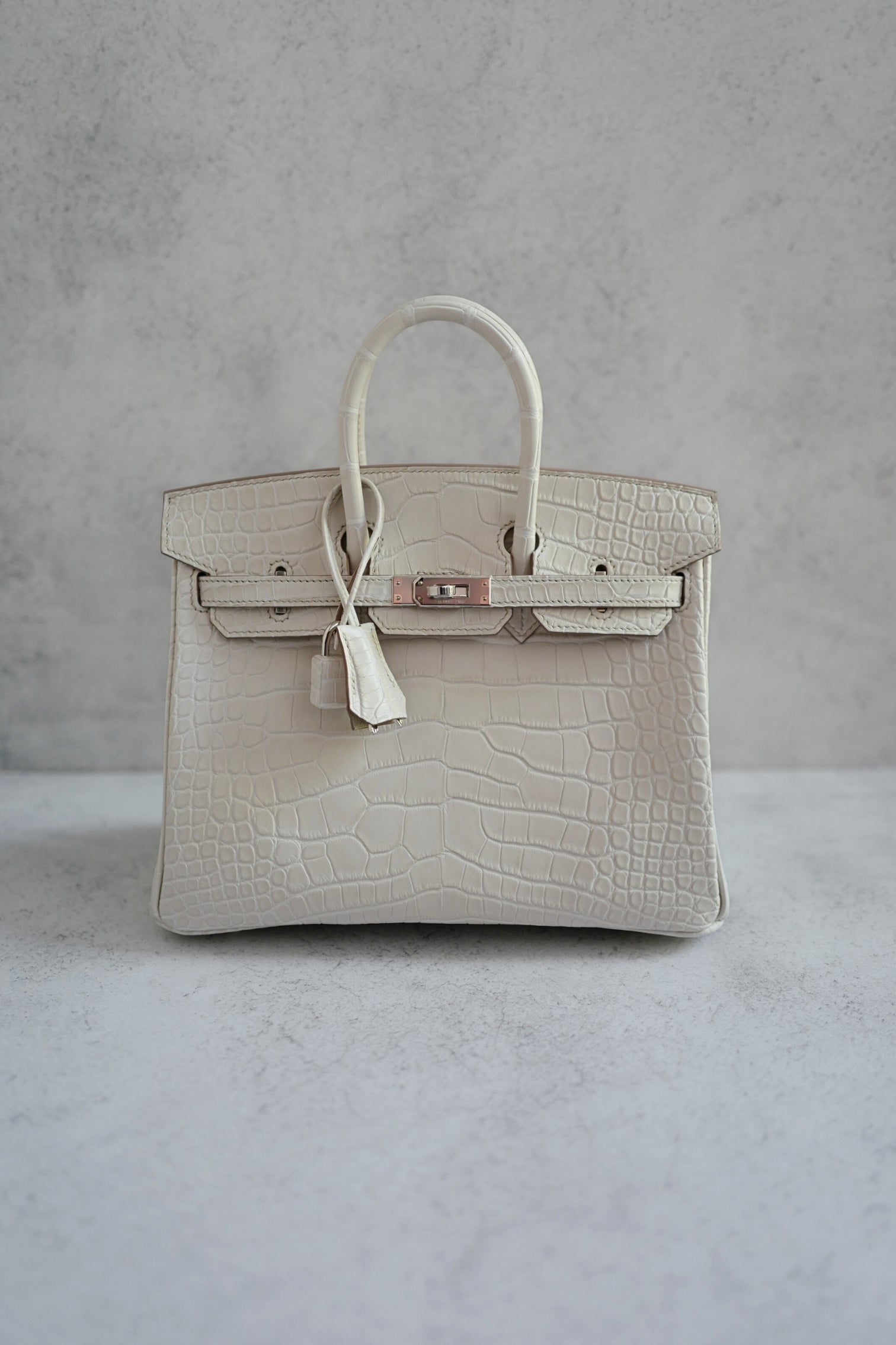 BNIB Hermès Birkin 25 Beton Matte Mississippiensis Alligator Palladium