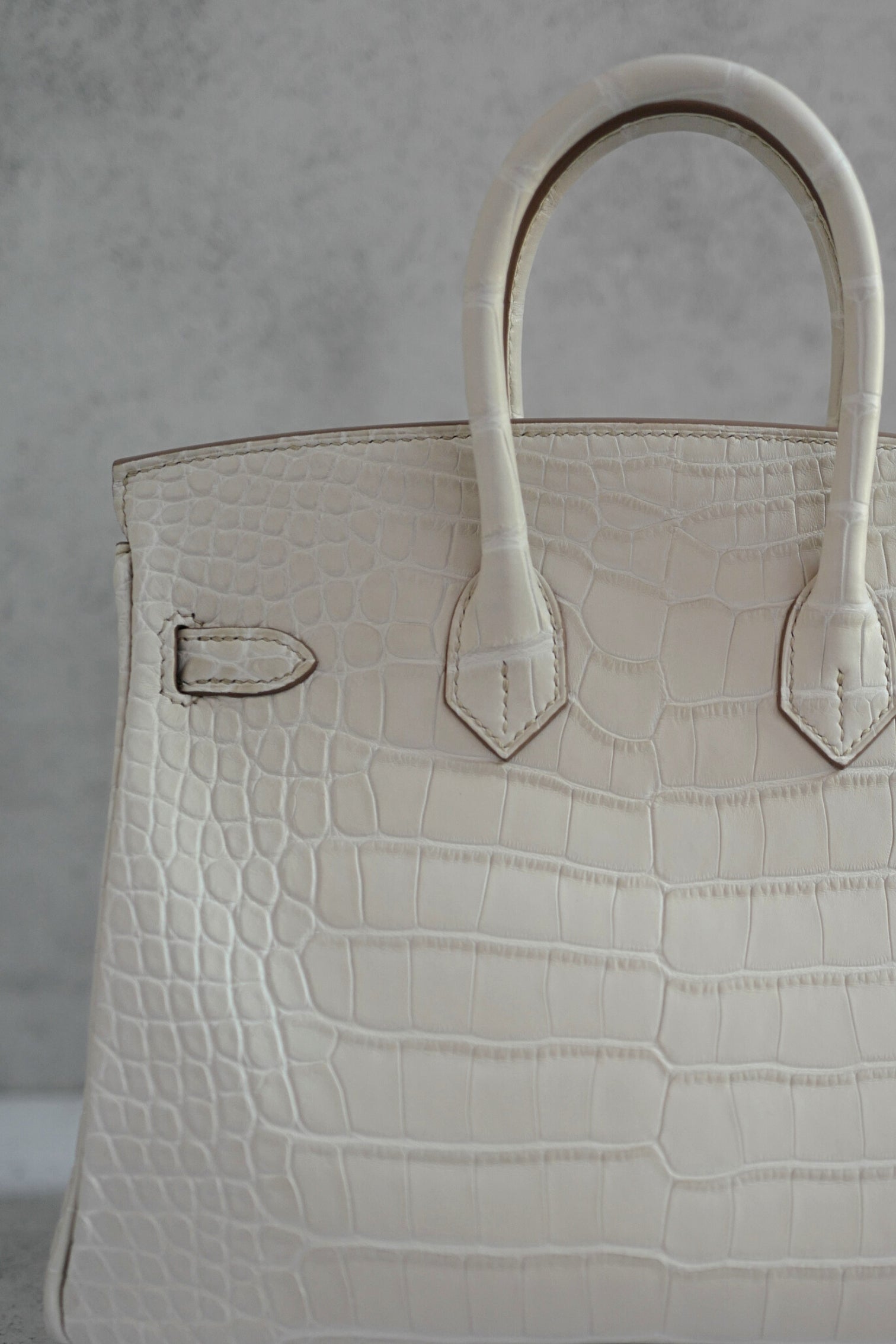 BNIB Hermès Birkin 25 Beton Matte Mississippiensis Alligator Palladium Hardware 2025