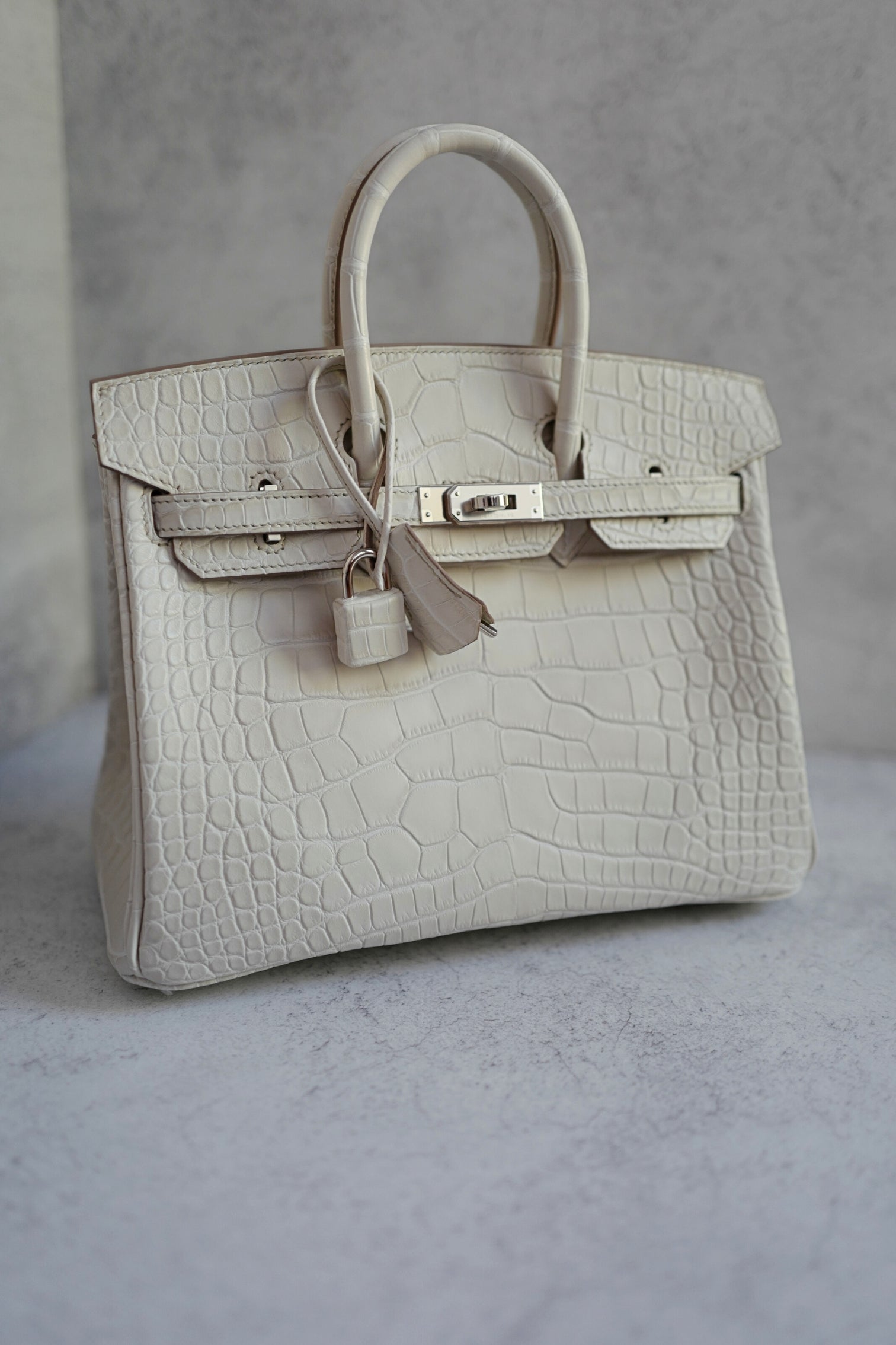 BNIB Hermès Birkin 25 Beton Matte Mississippiensis Alligator Palladium Hardware 2025