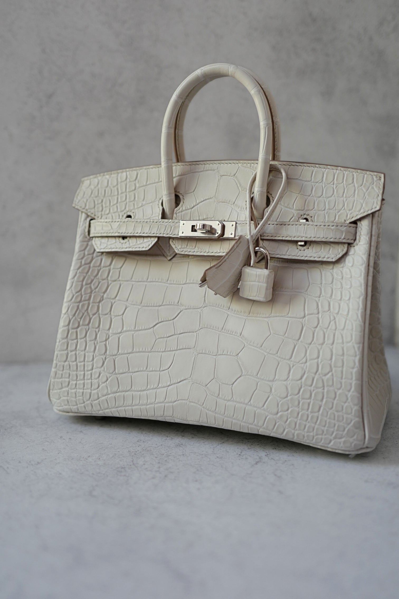 BNIB Hermès Birkin 25 Beton Matte Mississippiensis Alligator Palladium