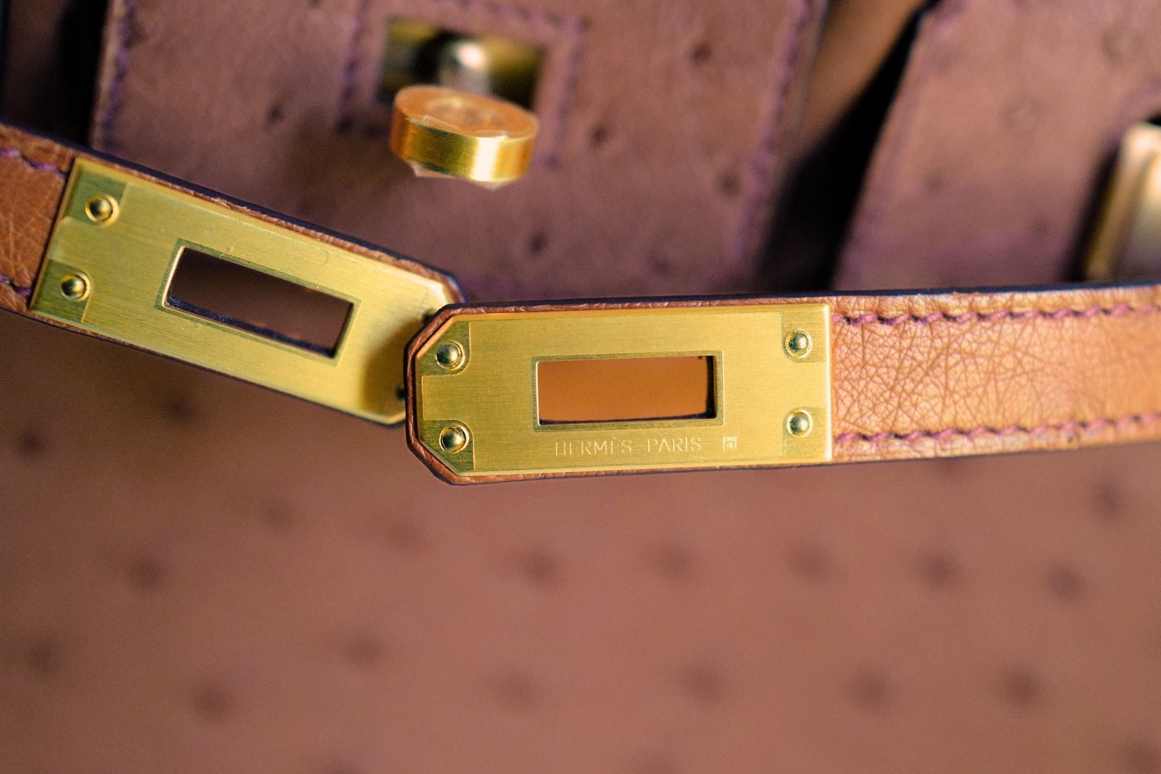 Hermès Birkin 25 Cognac Ostrich Leather Gold Hardware G Stamp 2026