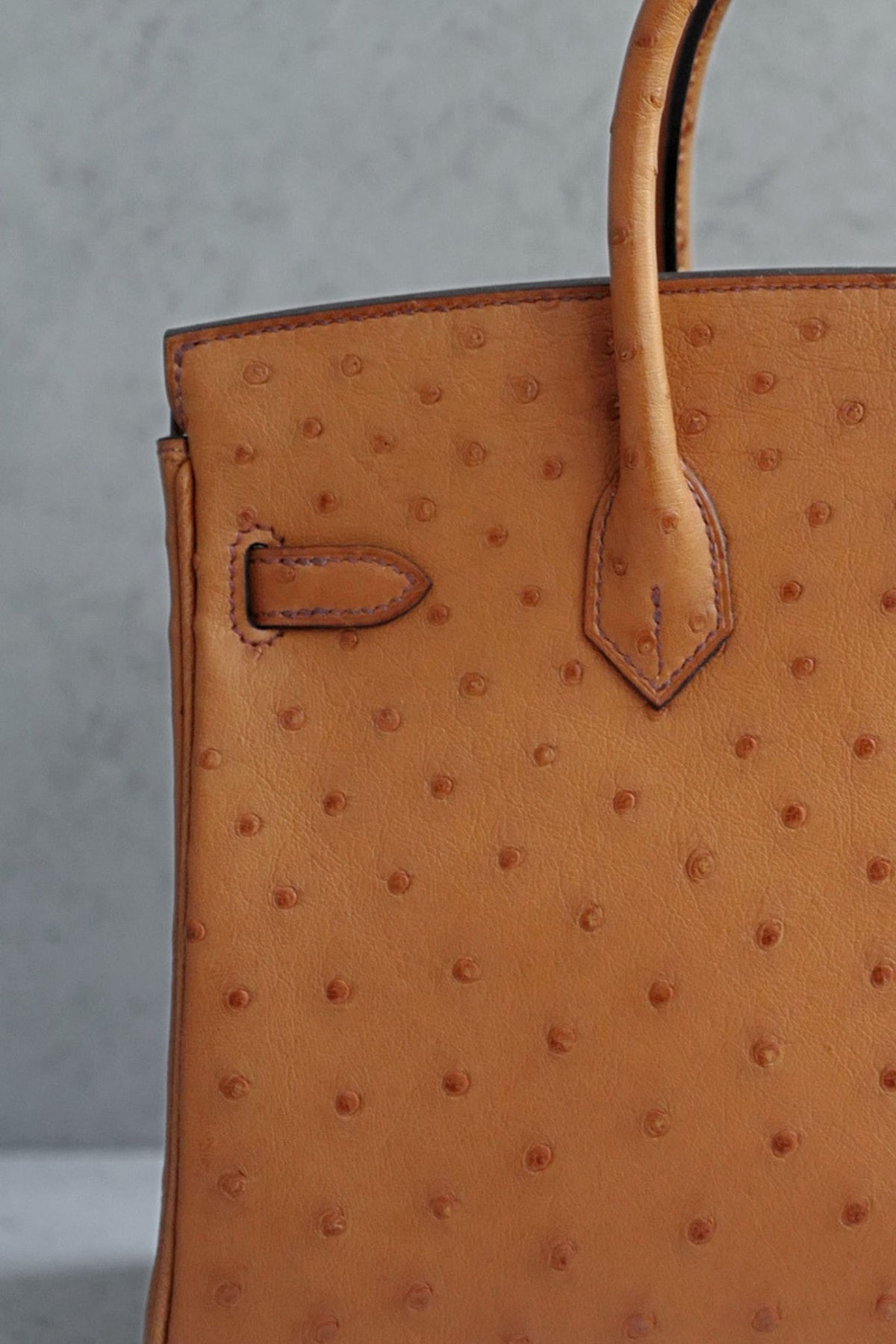 Hermès Birkin 25 Cognac Ostrich Leather Gold Hardware G Stamp 2026