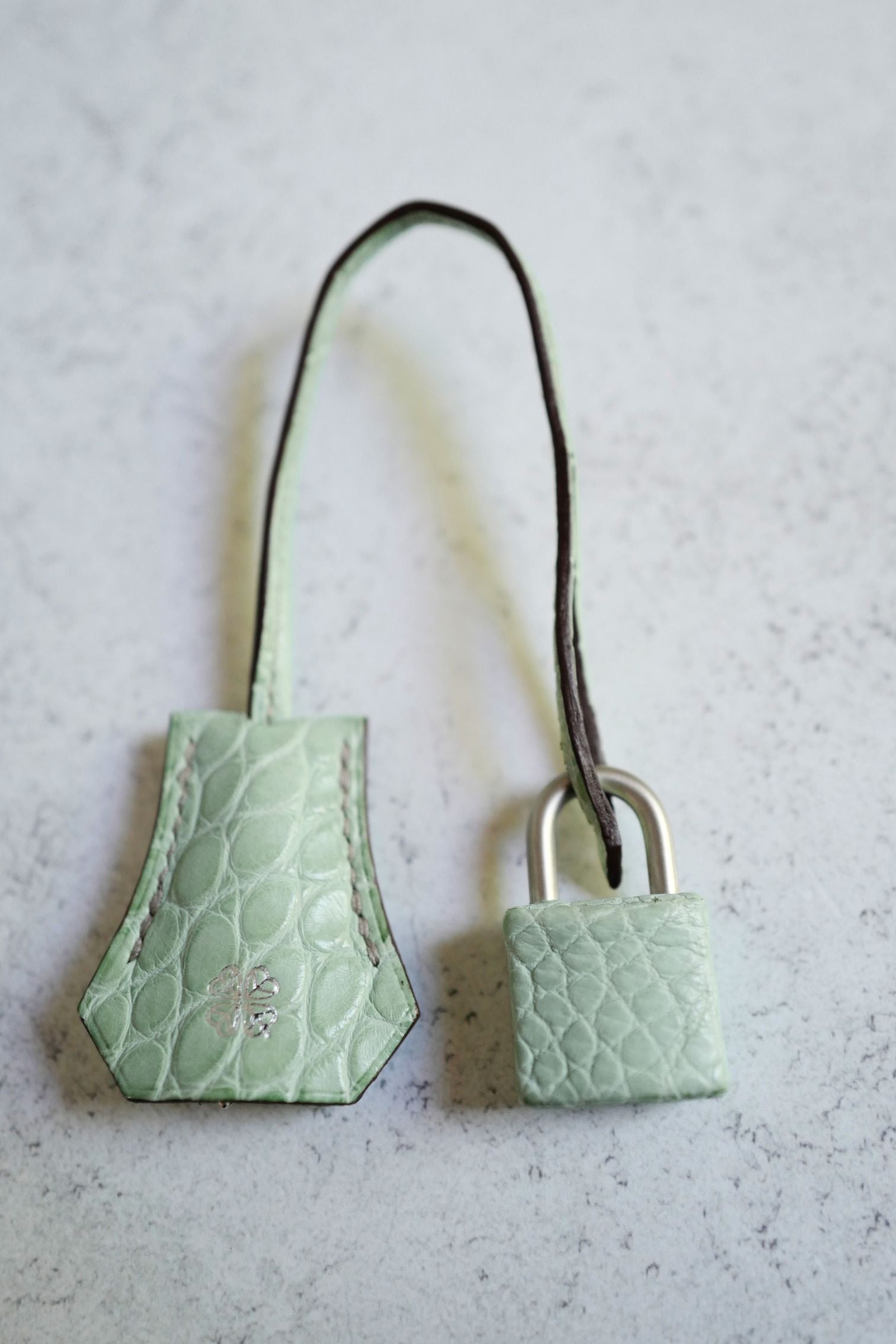 Hermès Birkin 25 HSS Gris Perle Vert D'eau Matte Crocodile Brushed PHW