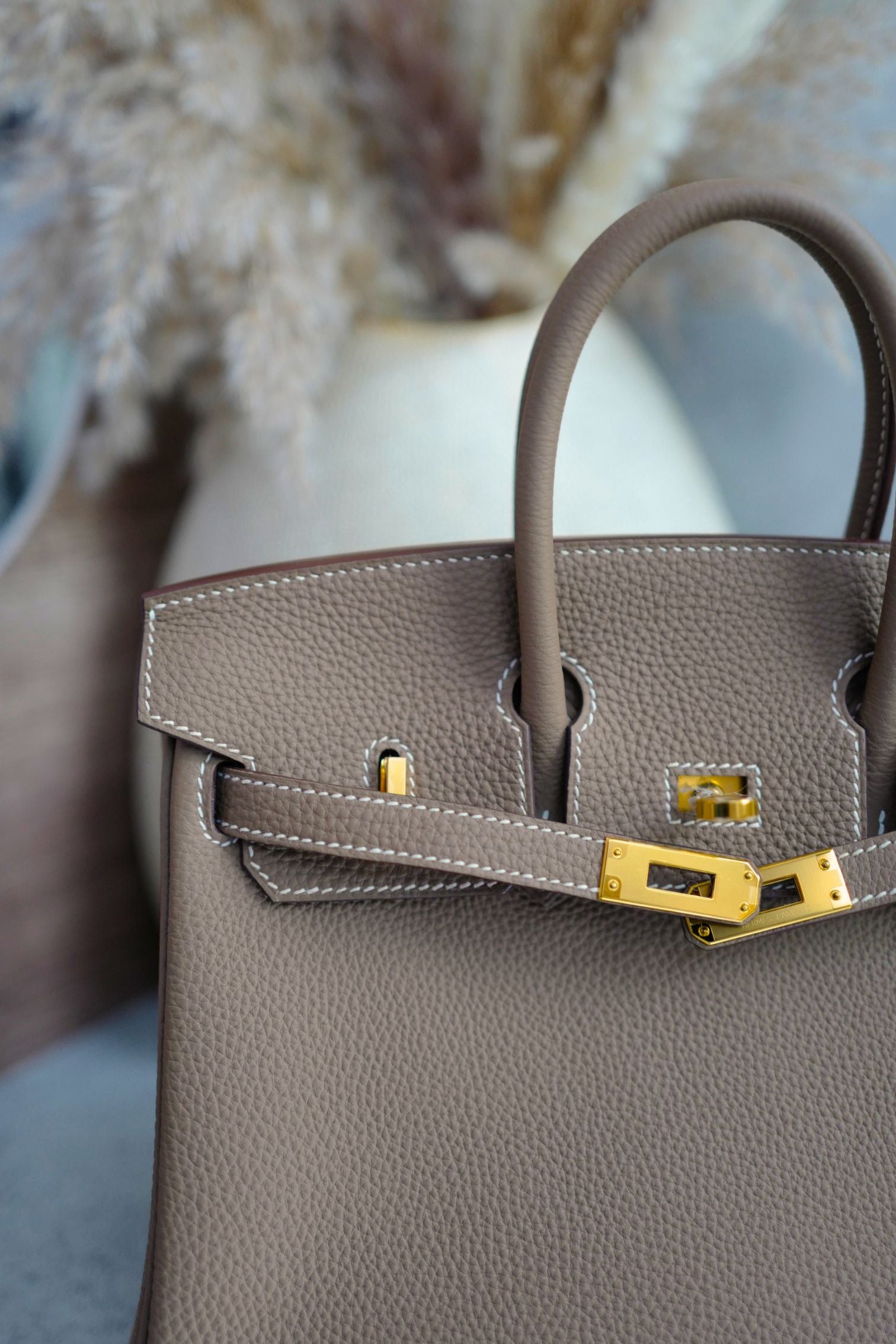 BNIB Hermes Birkin 25 Etoupe Togo Leather Gold Hardware G Stamp 2026