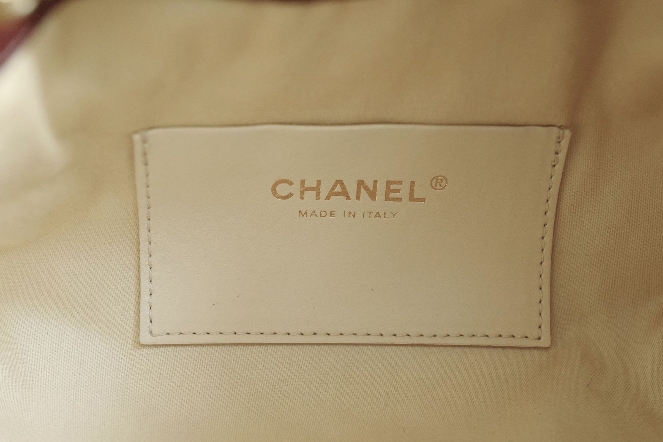 NEW Chanel 26A Mini Hobo Leopard Matthieu Blazy Light Beige & Black GHW