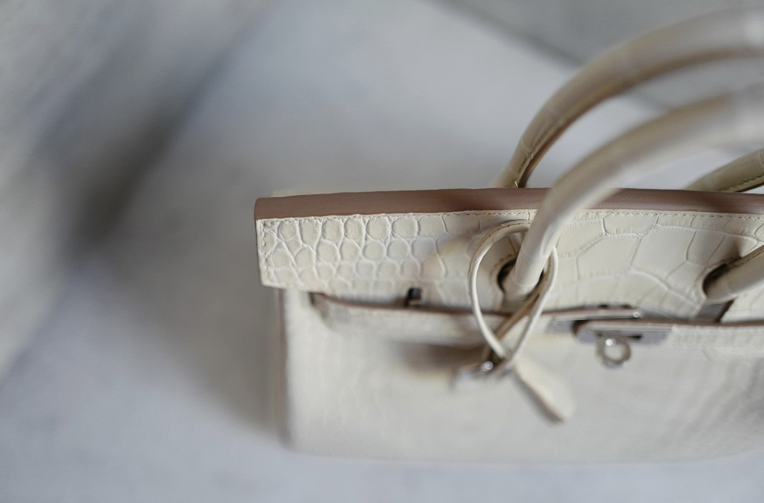 BNIB Hermès Birkin 25 Beton Matte Mississippiensis Alligator Palladium Hardware 2025