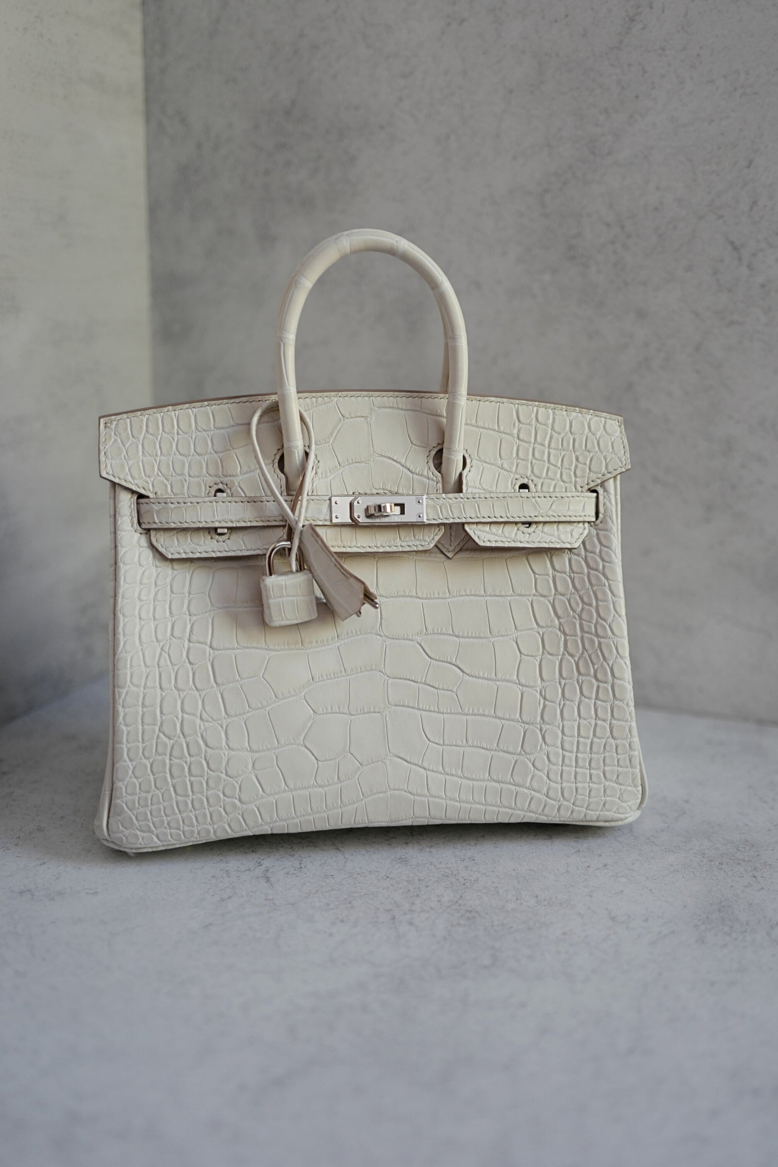 BNIB Hermès Birkin 25 Beton Matte Mississippiensis Alligator Palladium Hardware 2025