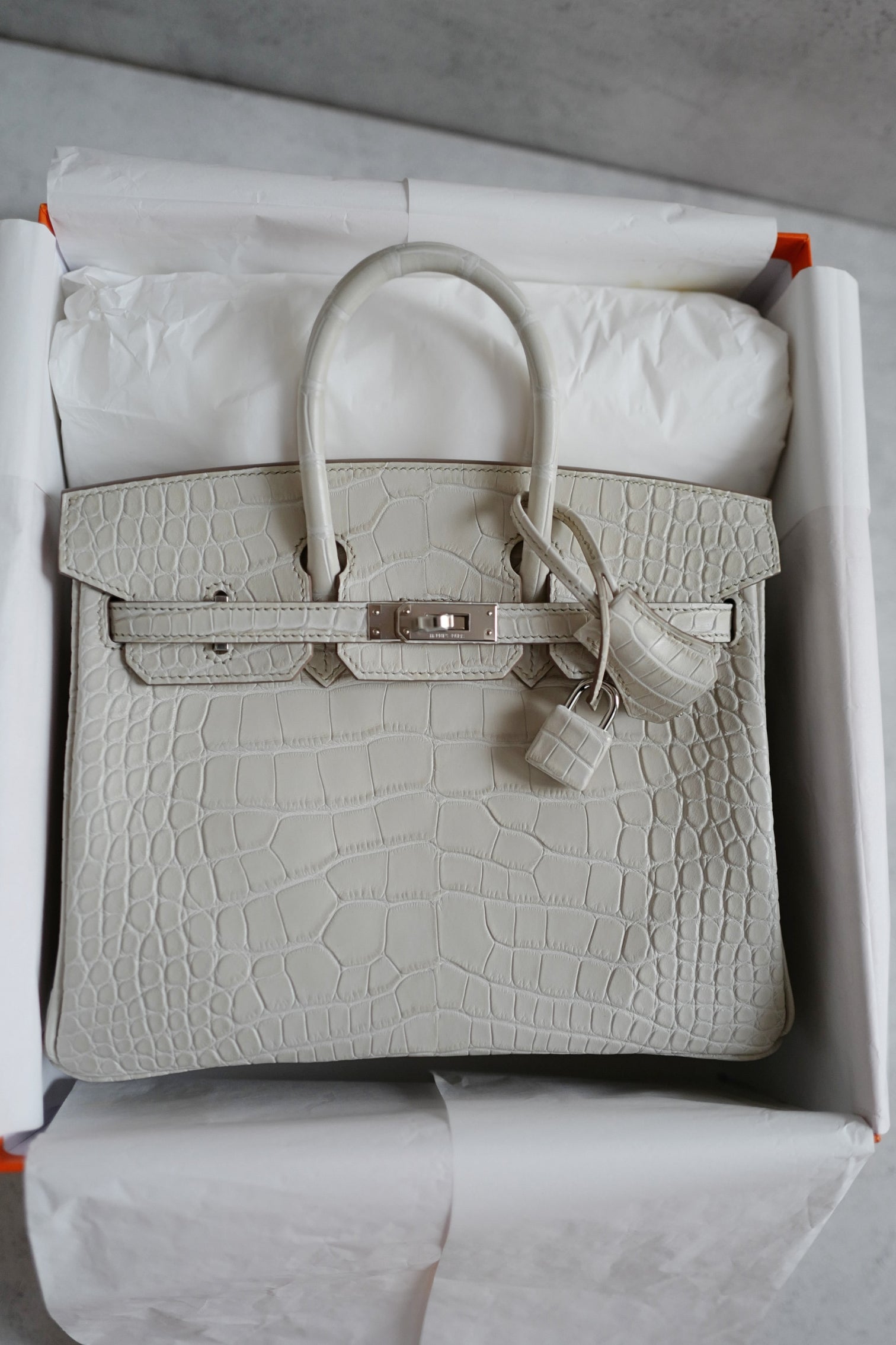 BNIB Hermès Birkin 25 Beton Matte Mississippiensis Alligator Palladium