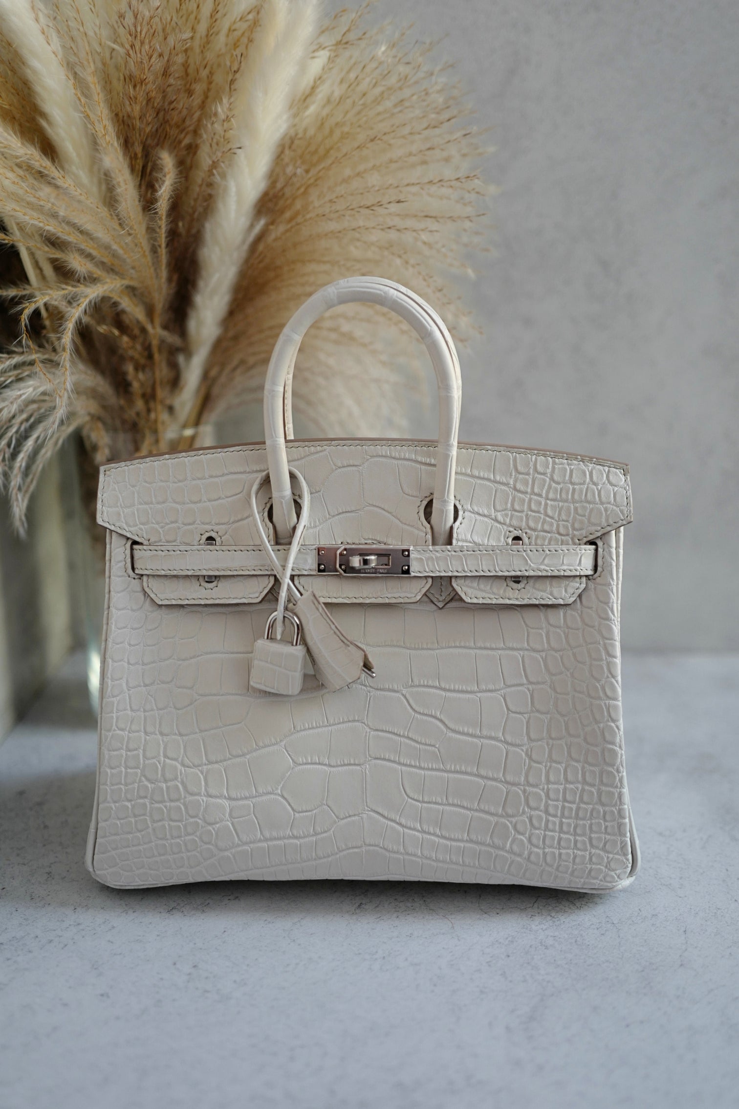 BNIB Hermès Birkin 25 Beton Matte Mississippiensis Alligator Palladium Hardware 2025