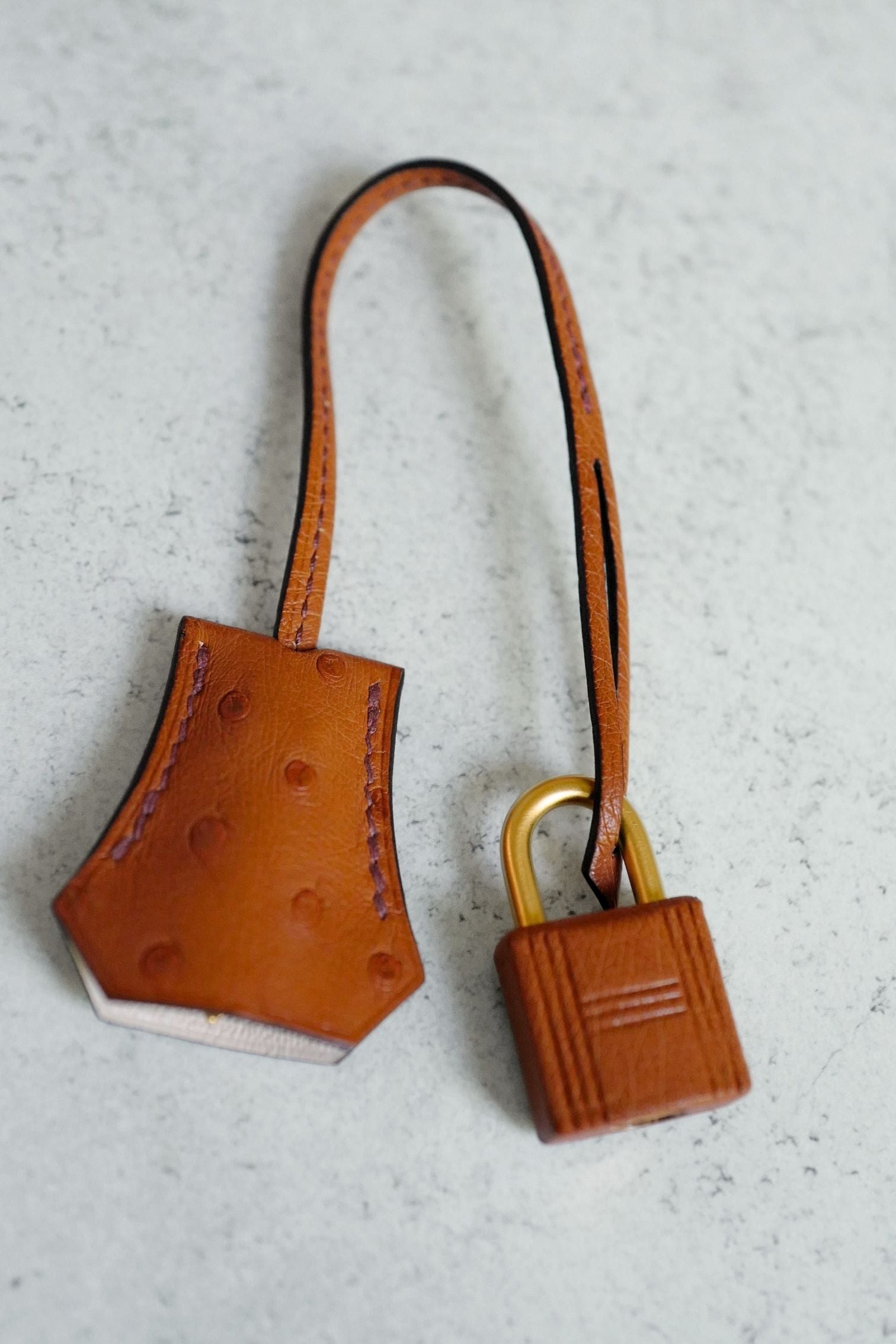 Hermès Birkin 25 Cognac Ostrich Leather Gold Hardware G Stamp 2026