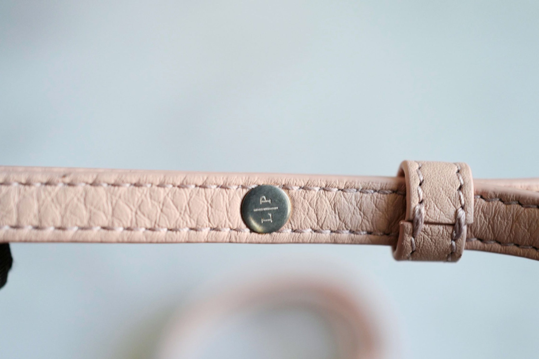 BNIB Loro Piana Extra Pocket backpack L23.5 in Candoglia Marble Rose Sakura Pink