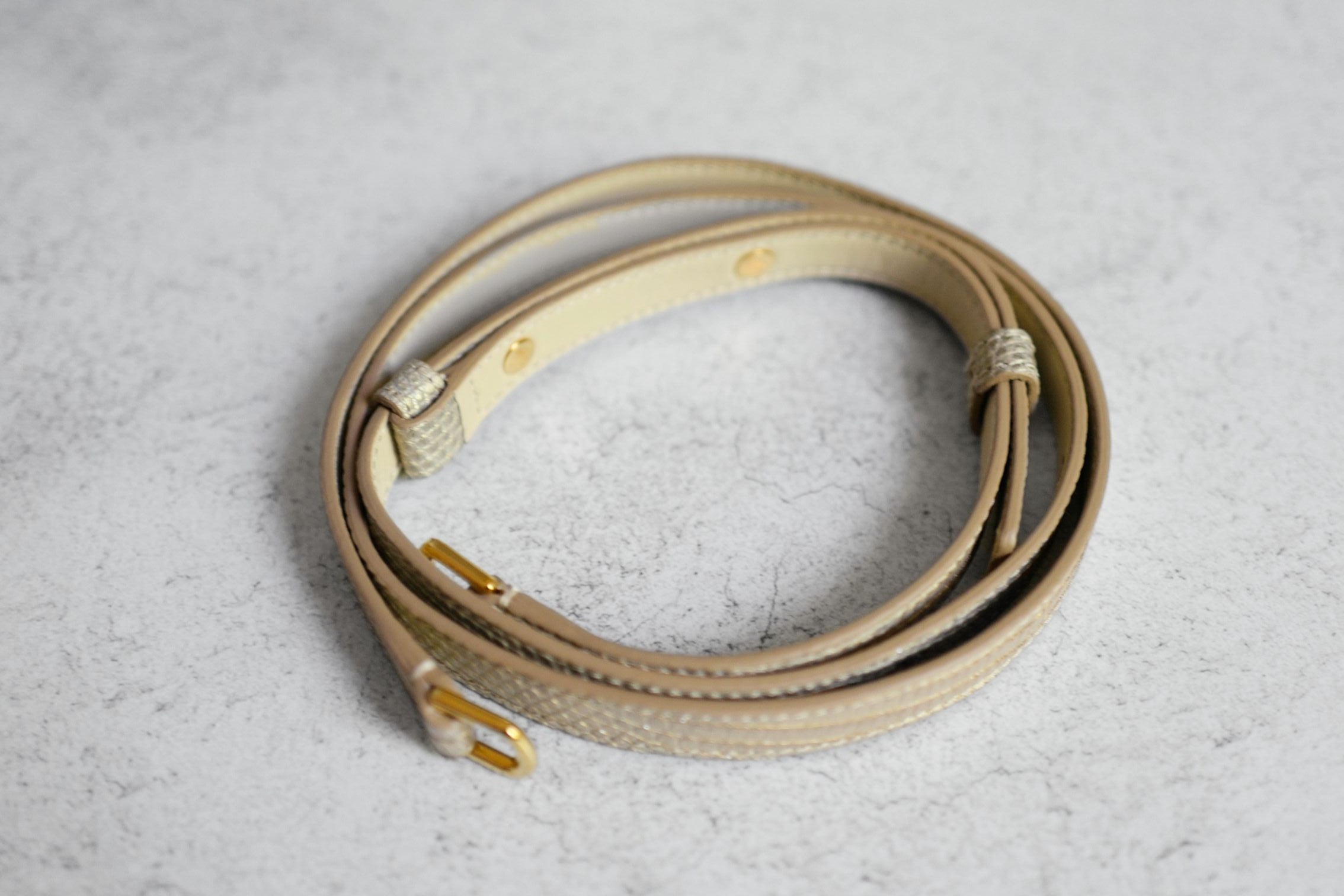 Loro Piana Extra Pocket L19 Lizard Cosmic Whisper/Sun Gold HW Limited Exotic