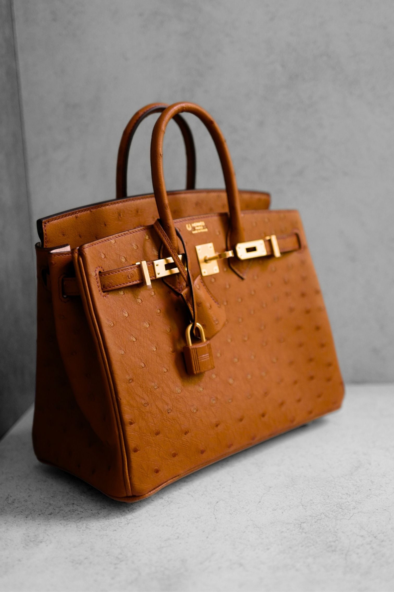 Hermès Birkin 25 Cognac Ostrich Leather Gold Hardware G Stamp 2026