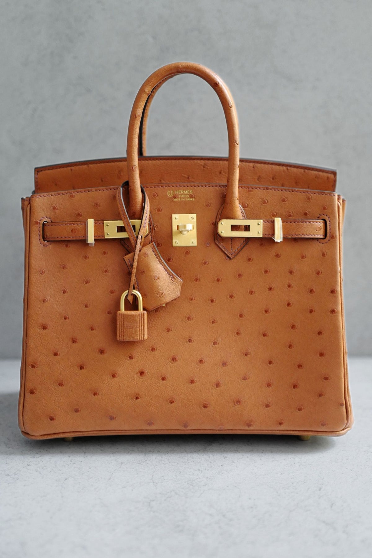 Hermès Birkin 25 Cognac Ostrich Leather Gold Hardware G Stamp 2026