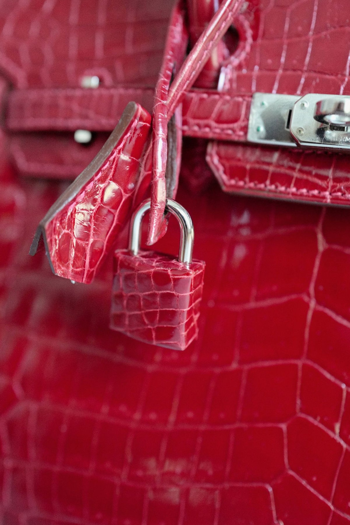 Hermes Birkin 25 Braise Shiny Niloticus Crocodile Palladium Hardware