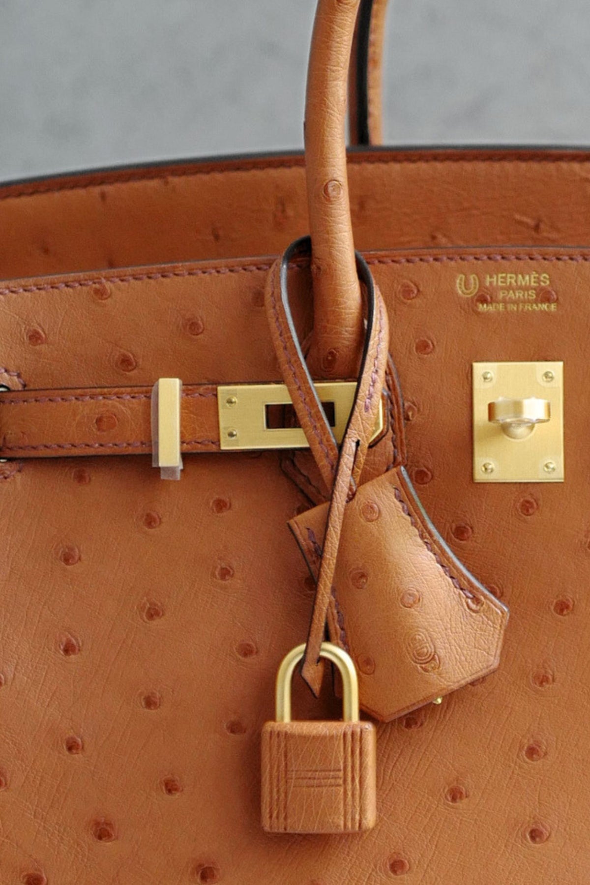 Hermès Birkin 25 Cognac Ostrich Leather Gold Hardware G Stamp 2026