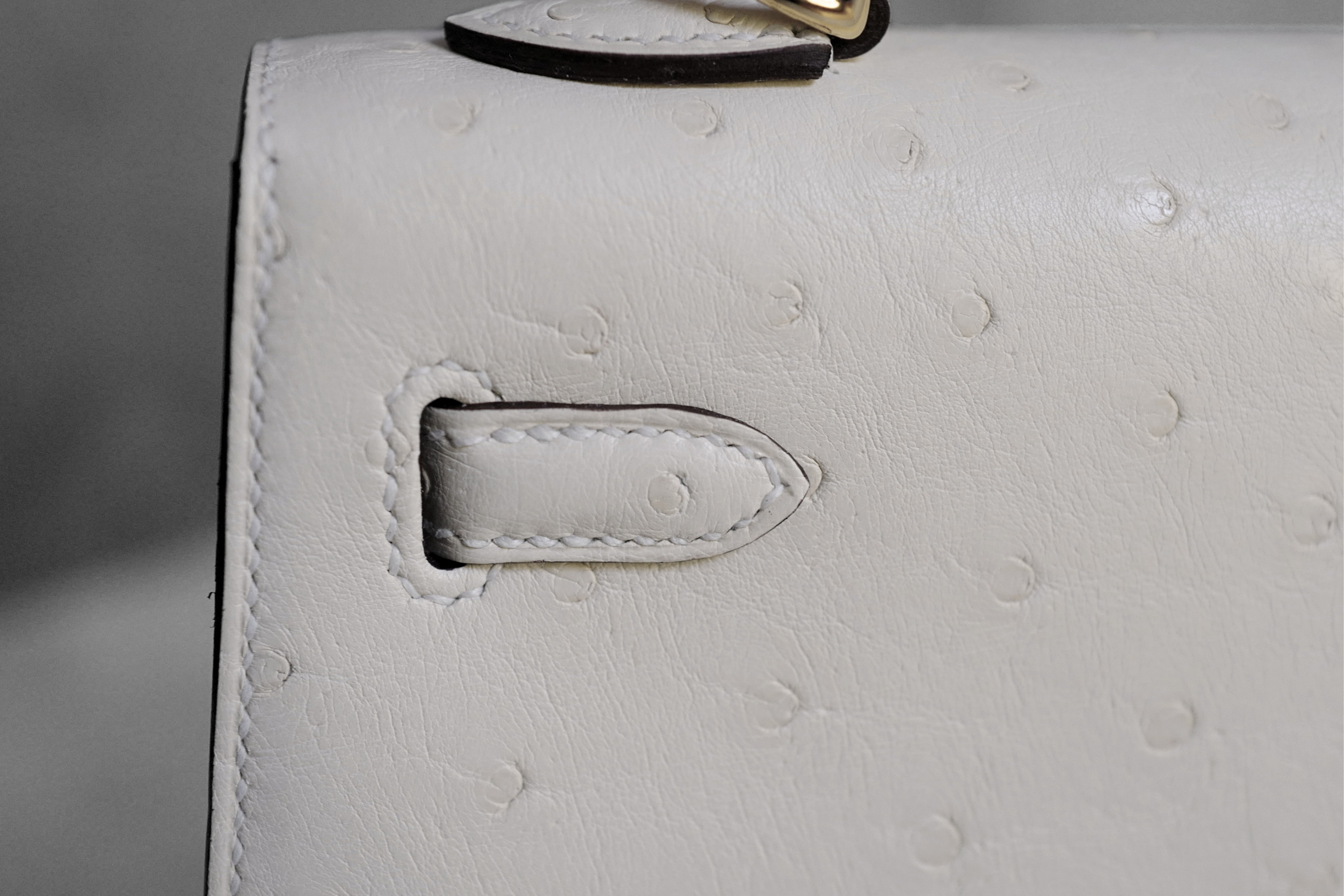 Hermès Kelly II 25 Nata Ostrich Sellier Boréale Gold Hardware G Stamp 2026