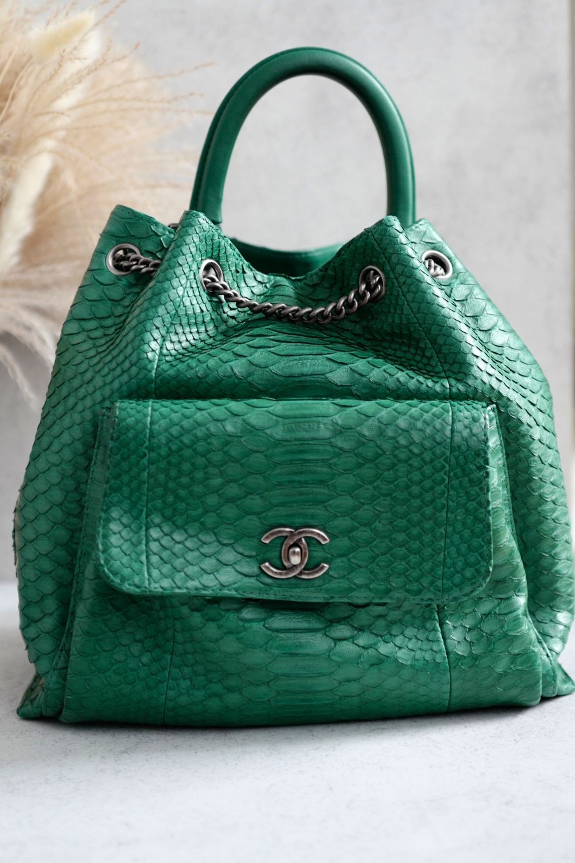 Chanel Gabrielle Backpack Drawstring bag In Phyton Exotic Rare Limited Edition