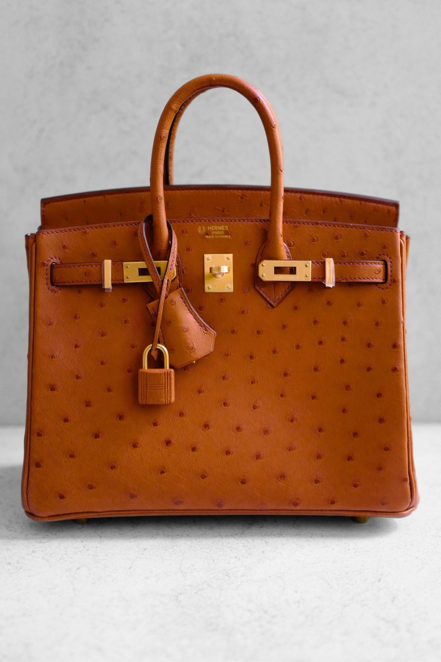 Hermès Birkin 25 Cognac Ostrich Leather Gold Hardware G Stamp 2026