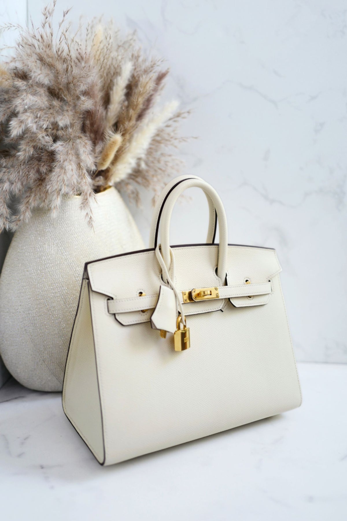 Hermes Birkin 25 Nata Epsom Sellier Gold Hardware