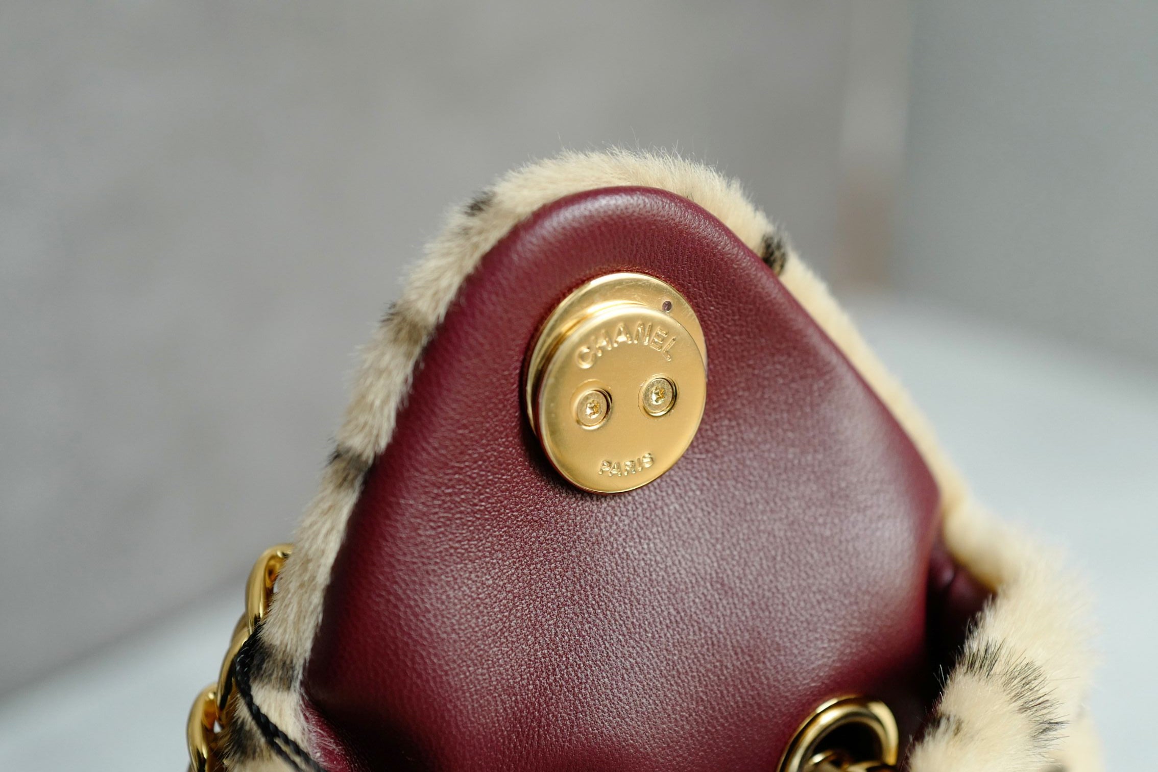 NEW Chanel 26A Mini Hobo Leopard Matthieu Blazy Light Beige & Black GHW