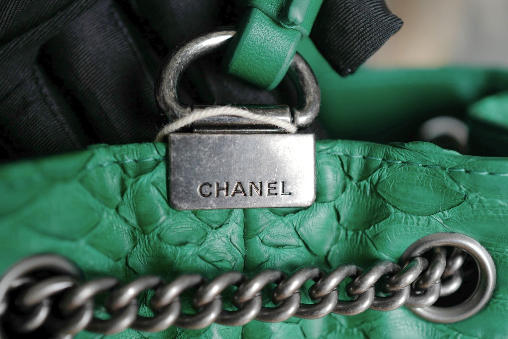 Chanel Gabrielle Backpack Drawstring bag In Phyton Exotic Rare Limited Edition