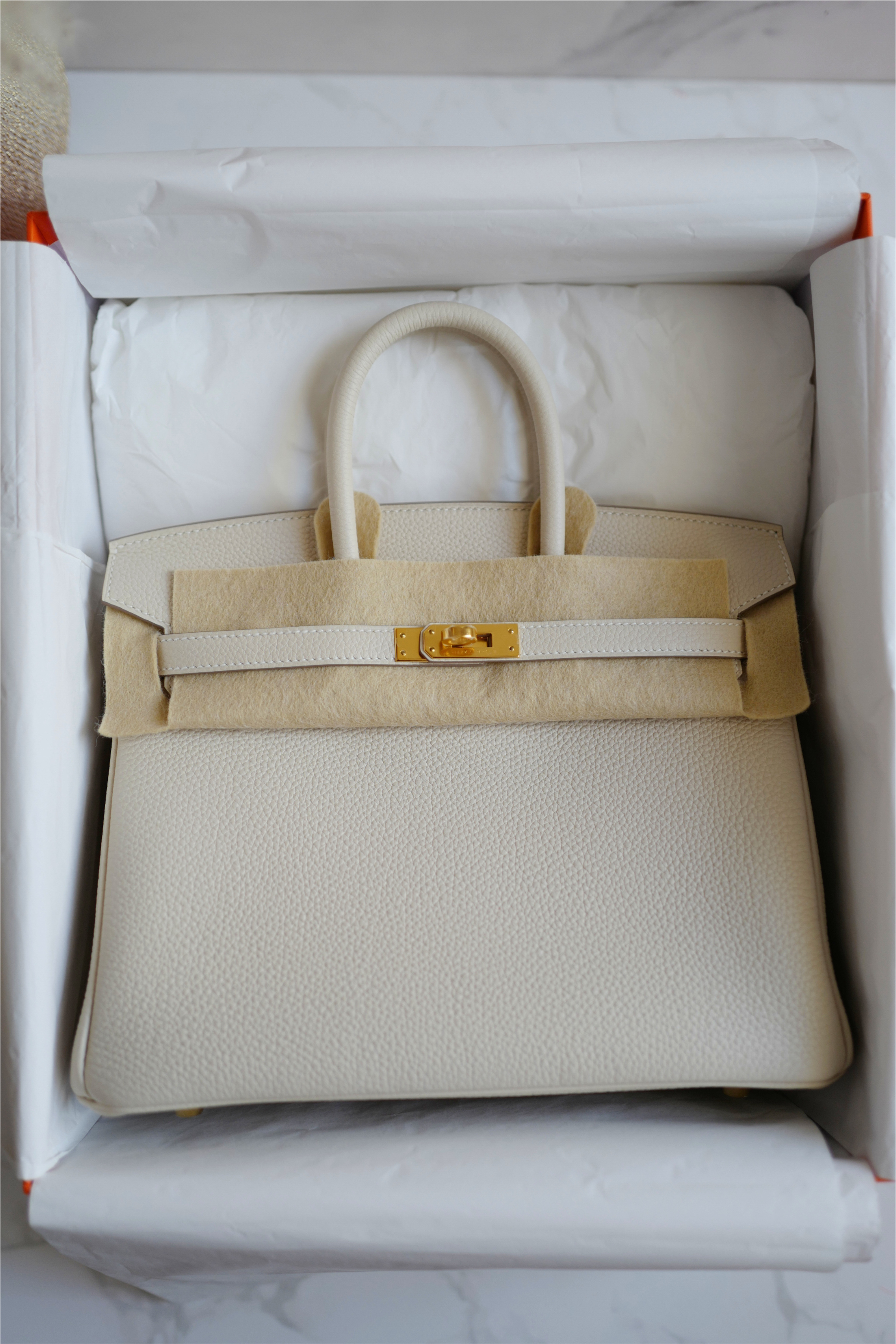BNIB Hermès Birkin 25 Bag Craie Togo Leather with Gold Hardware