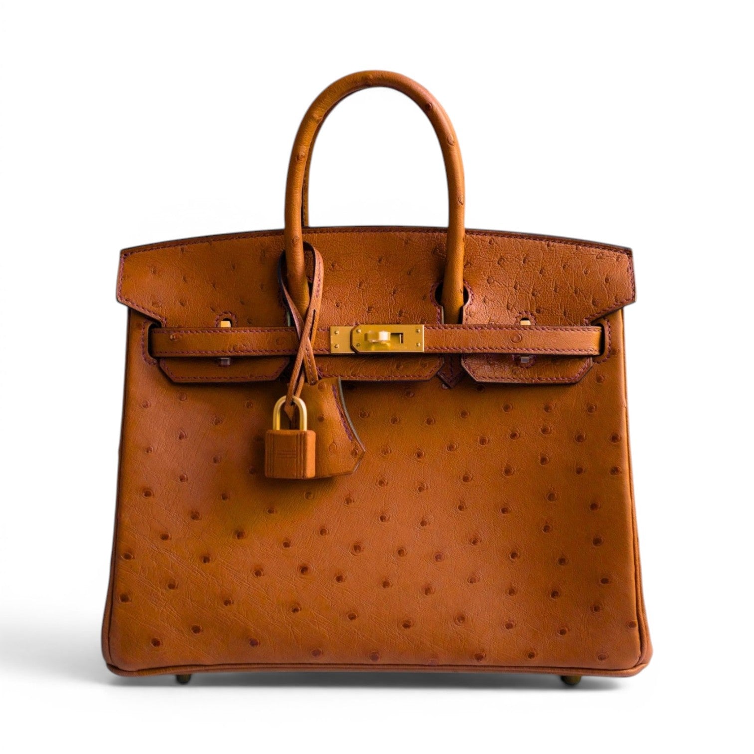 Hermès Birkin 25 Cognac Ostrich Leather Gold Hardware G Stamp 2026