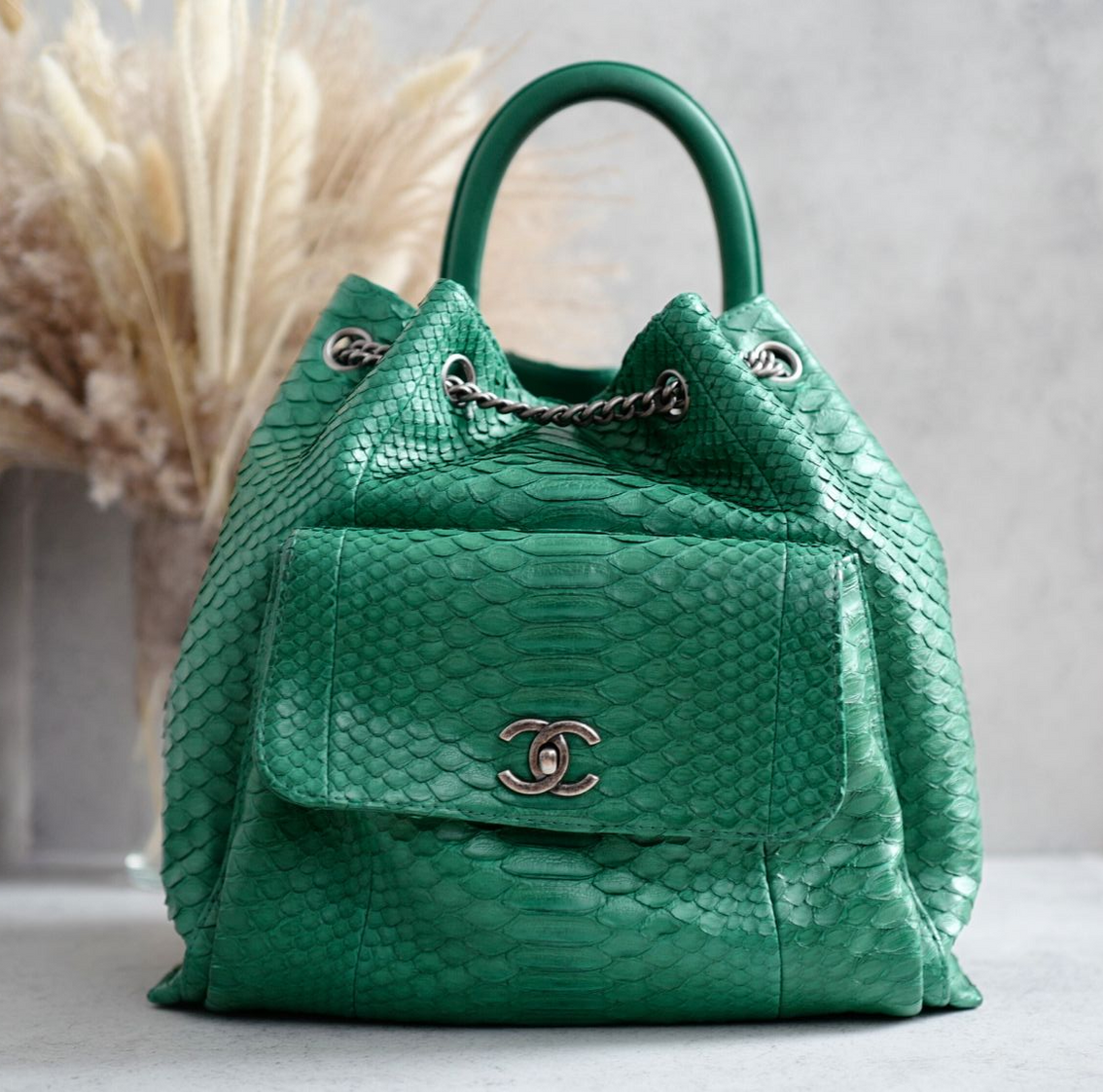 Chanel Gabrielle Backpack Drawstring bag In Phyton Exotic Rare Limited Edition