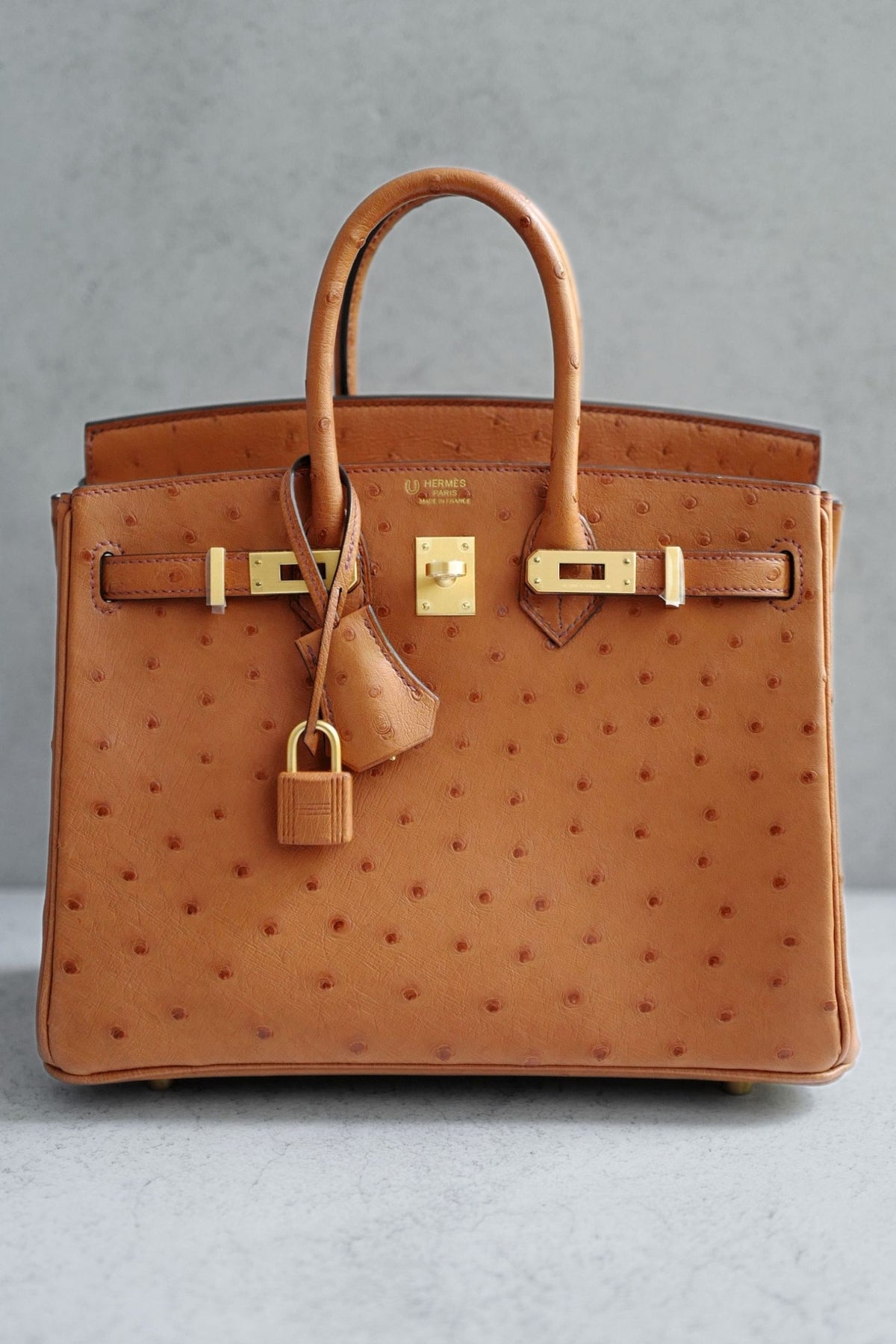 Hermès Birkin 25 Cognac Ostrich Leather Gold Hardware G Stamp 2026