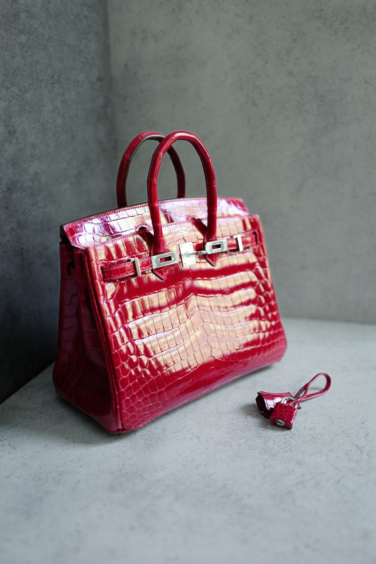 Hermes Birkin 25 Braise Shiny Niloticus Crocodile Palladium Hardware