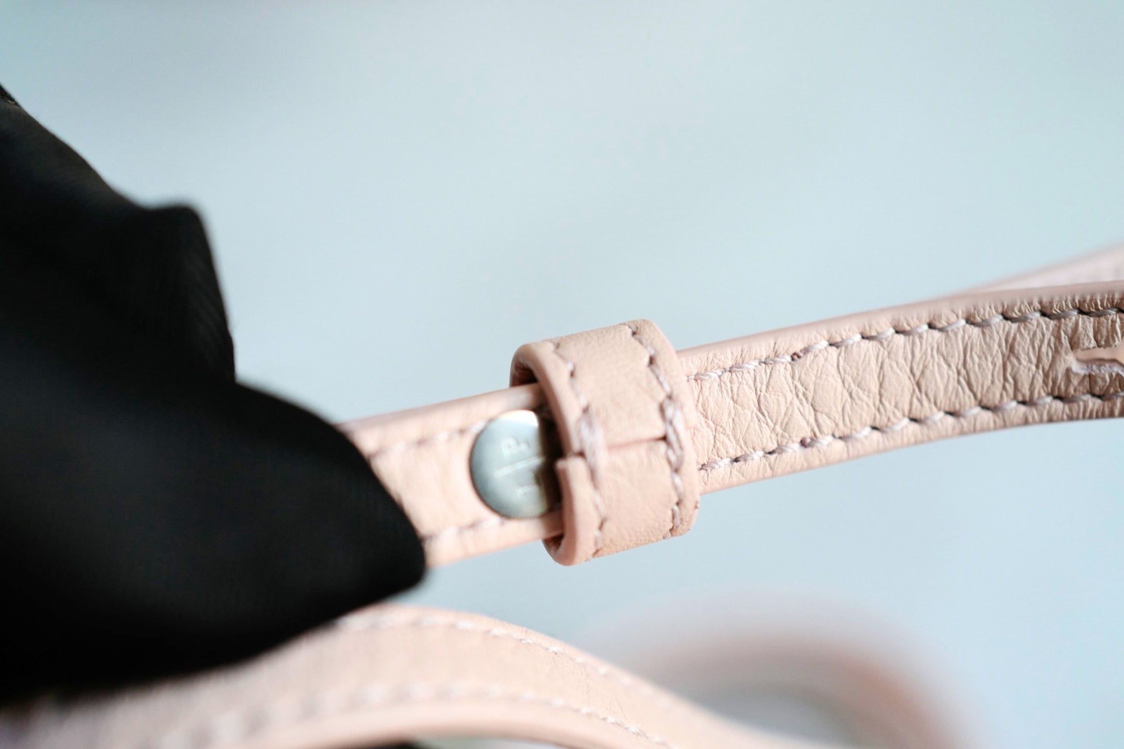 BNIB Loro Piana Extra Pocket backpack L23.5 in Candoglia Marble Rose Sakura Pink