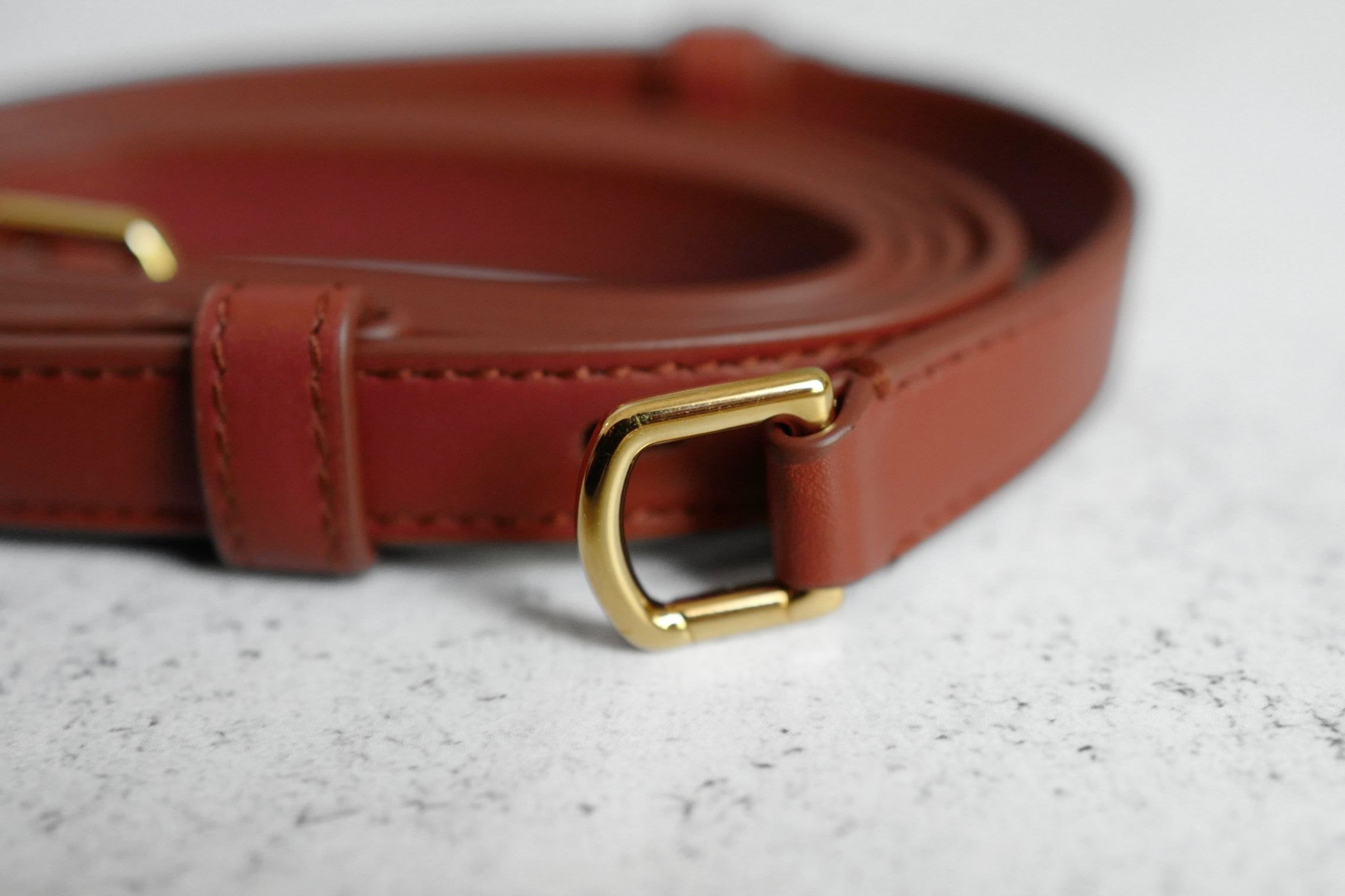 Loro Piana Extra Pocket L19 Limited Deep Kummel/Sun Gold Calfskin Gold Hardware