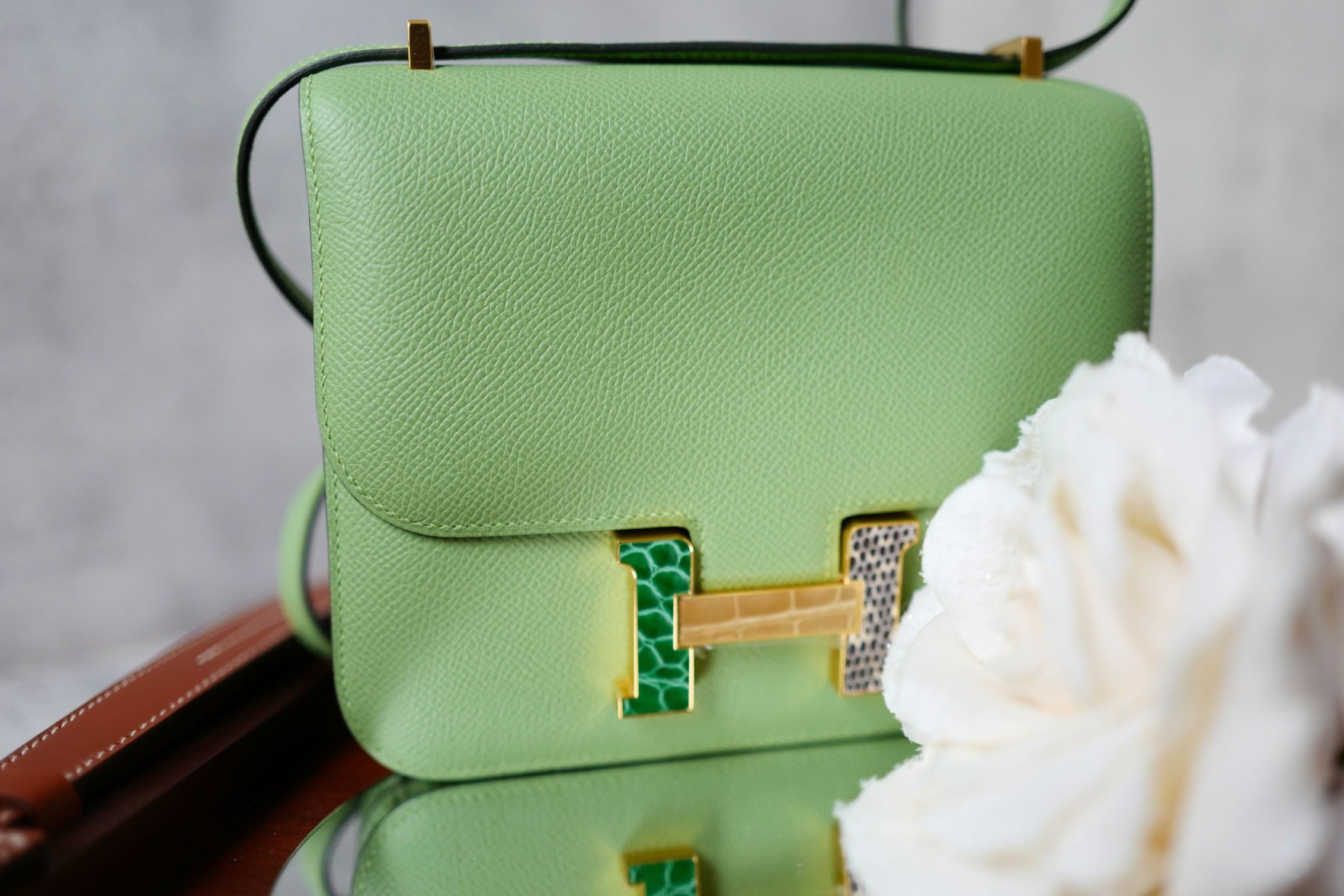 Hermes Constance 18 Vert Criquet Epsom Leather Bag Exotic Buckle GHW